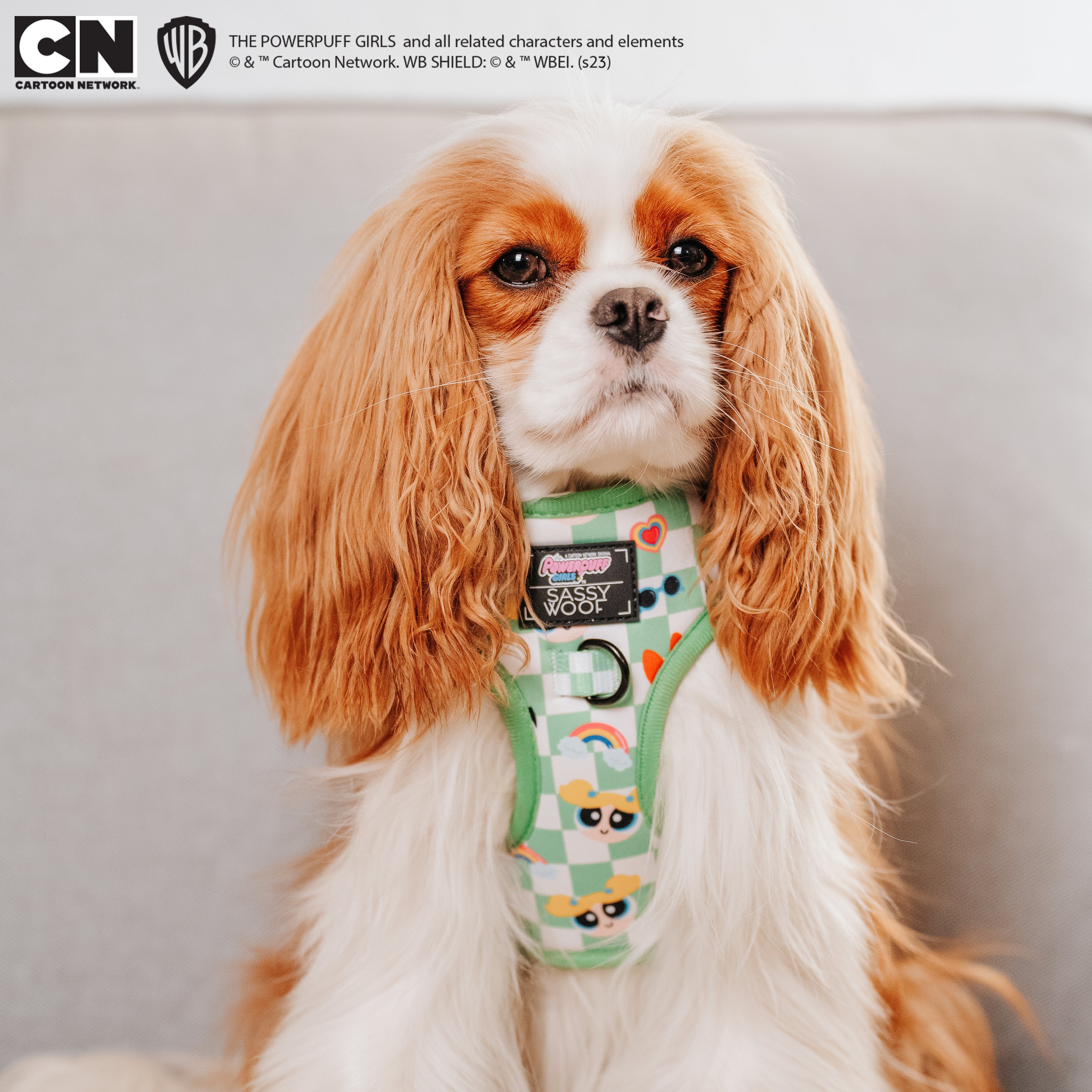 Dog Adjustable Harness - The Powerpuff Girls™ (Green) - Image 6