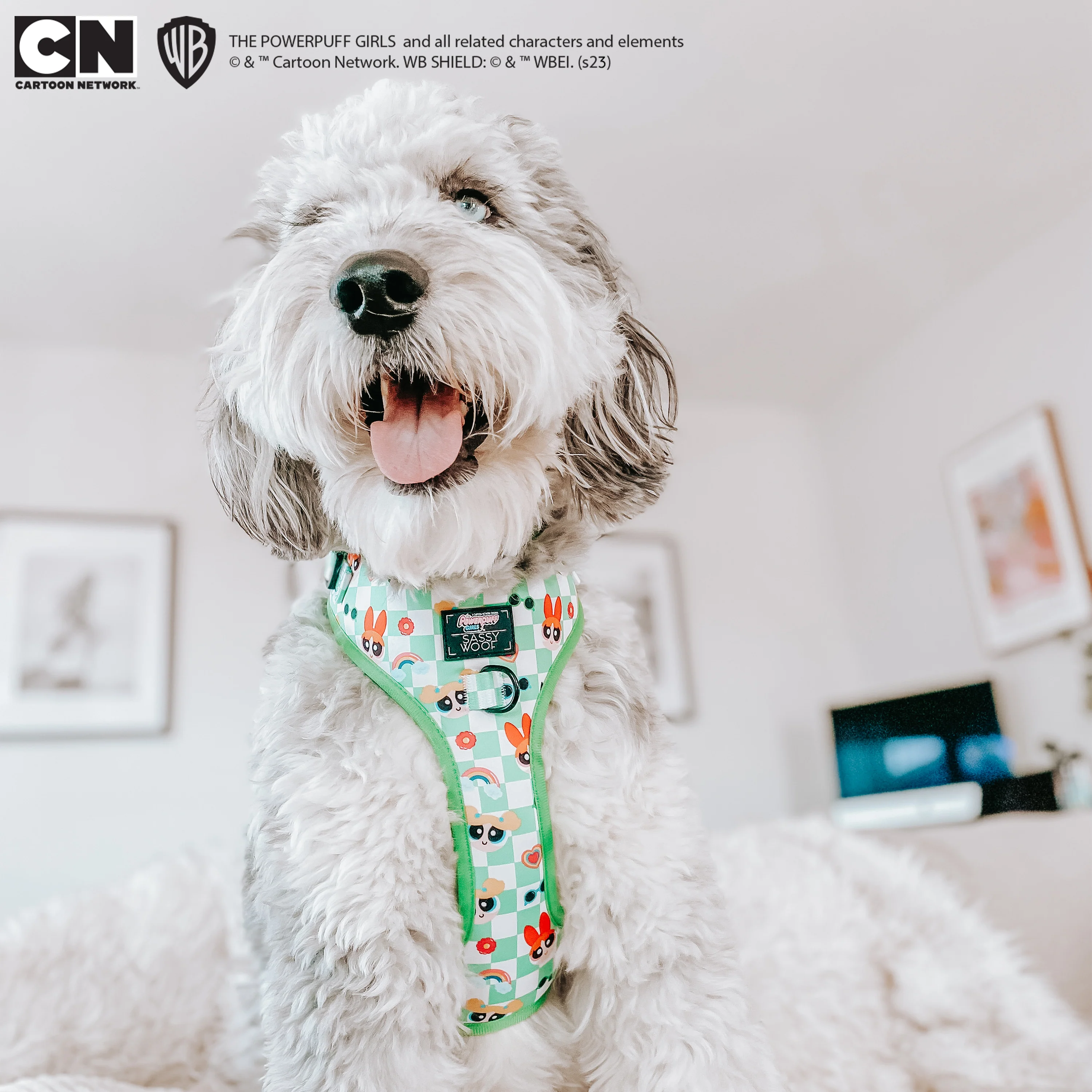 Dog Adjustable Harness - The Powerpuff Girls™ (Green) - Image 7