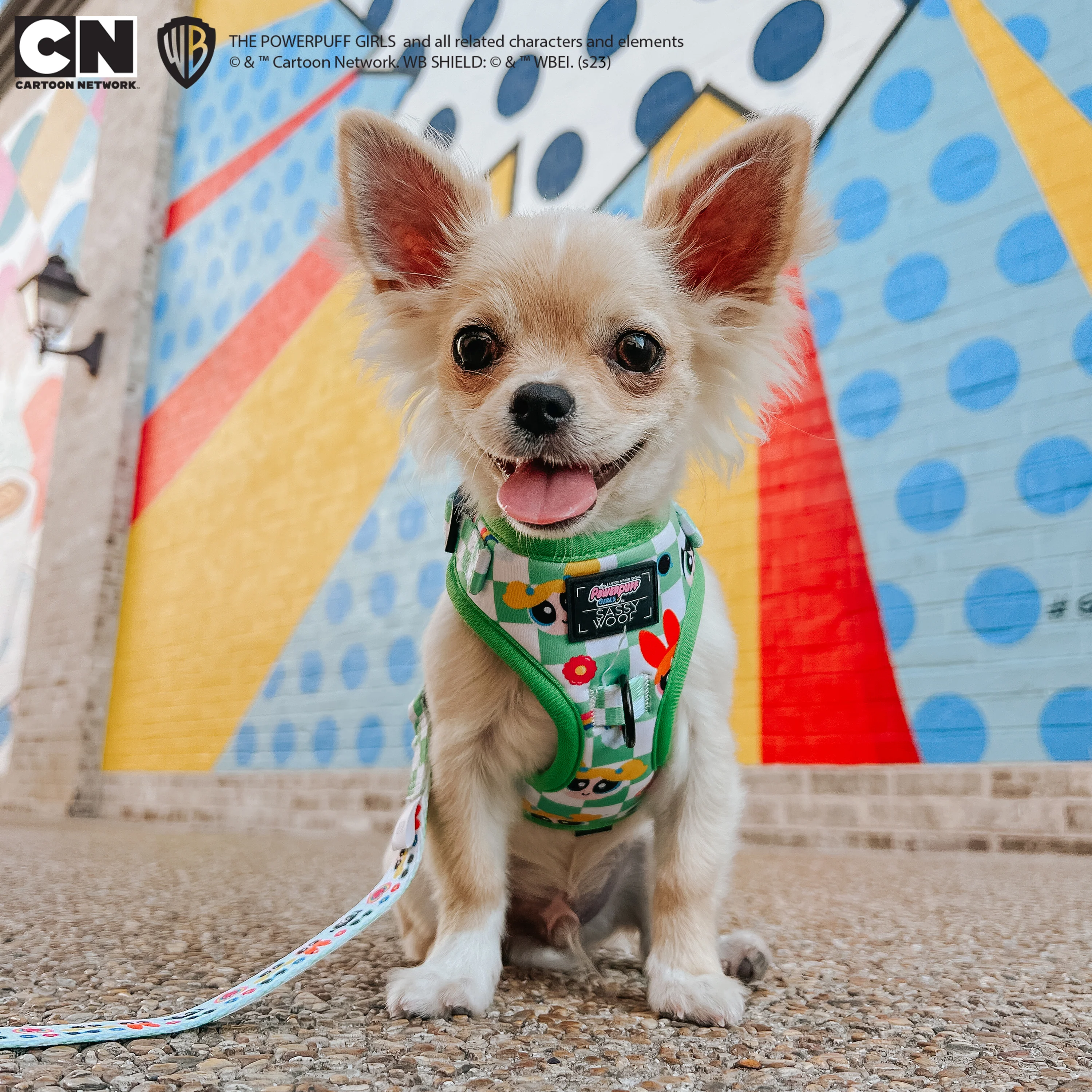 Dog Adjustable Harness - The Powerpuff Girls™ (Green) - Image 8