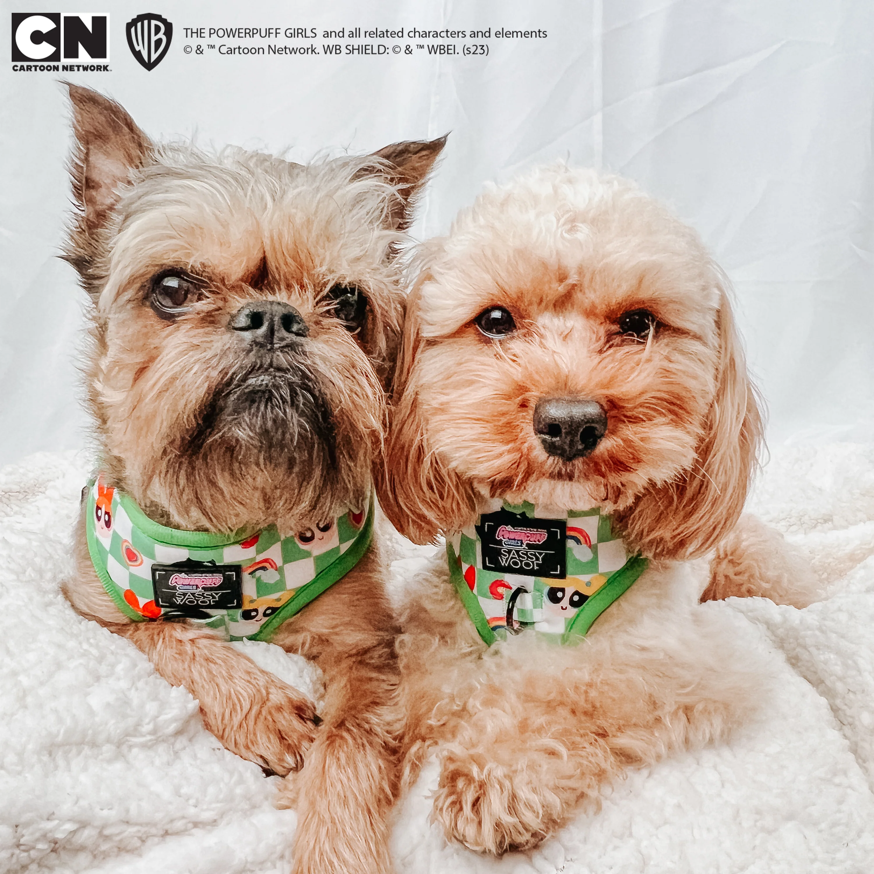 Dog Adjustable Harness - The Powerpuff Girls™ (Green) - Image 9