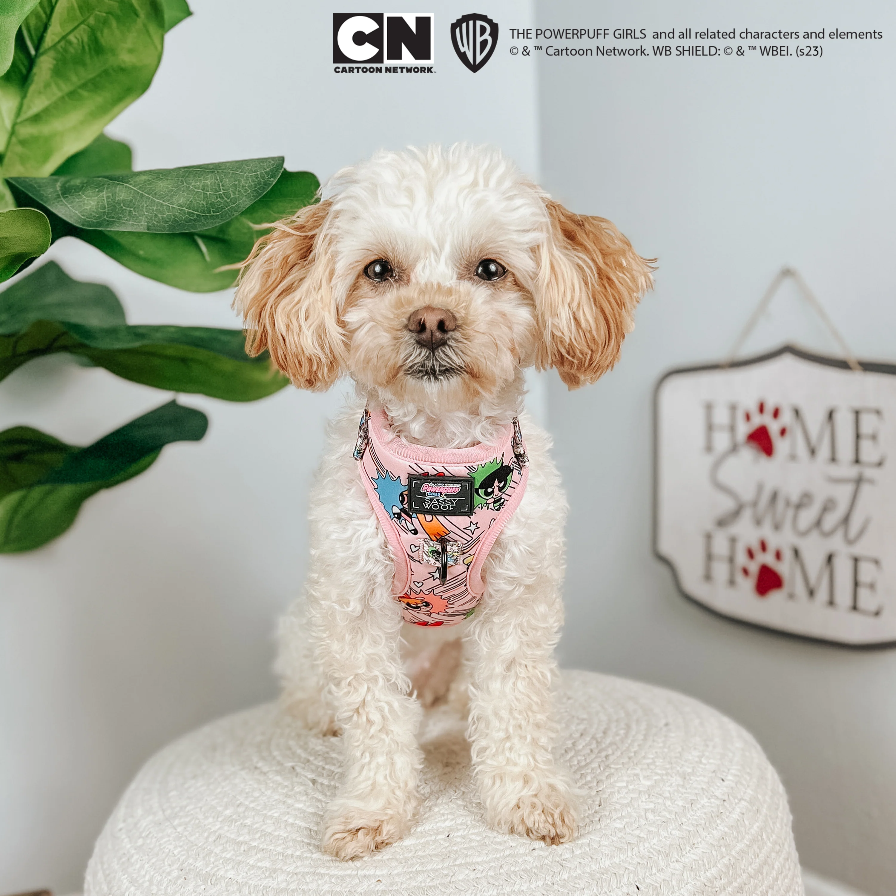 Dog Adjustable Harness - The Powerpuff Girls™ (Pink) - Image 10