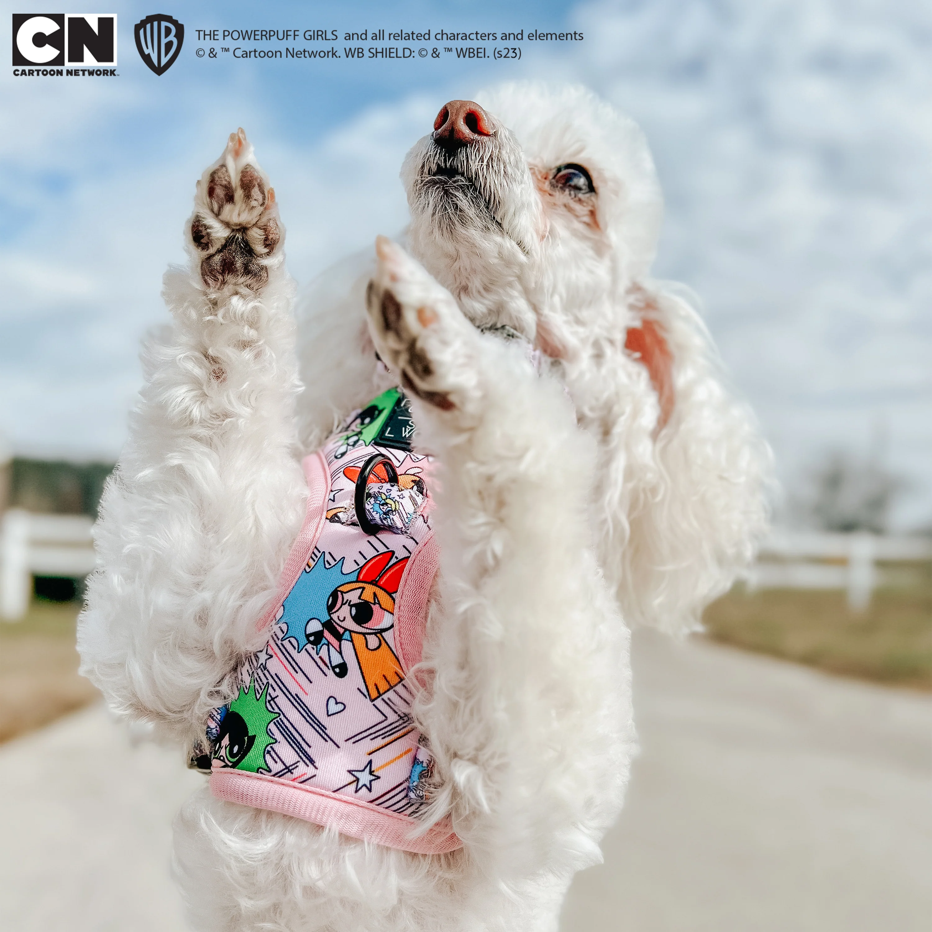 Dog Adjustable Harness - The Powerpuff Girls™ (Pink) - Image 11