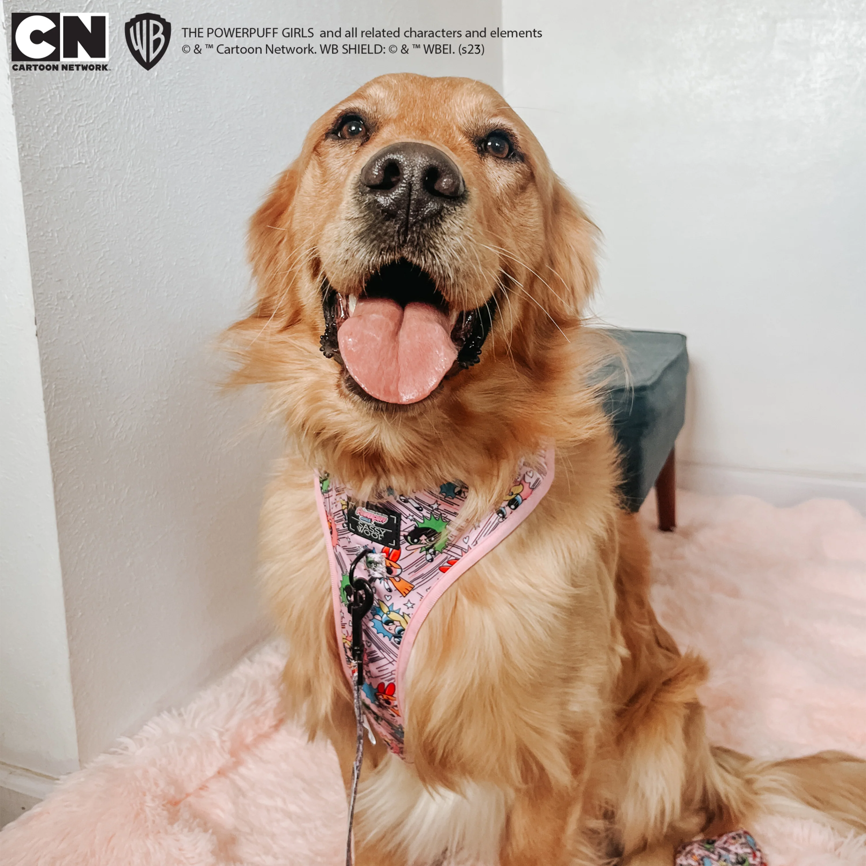 Dog Adjustable Harness - The Powerpuff Girls™ (Pink) - Image 12