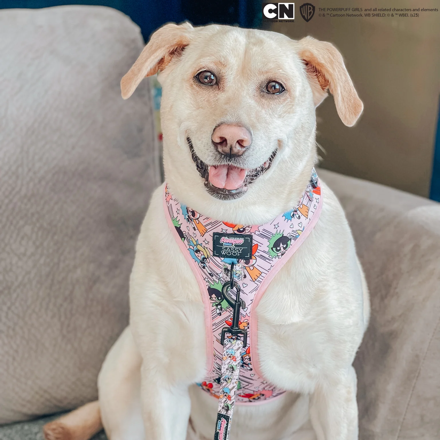 Dog Adjustable Harness - The Powerpuff Girls™ (Pink) - Image 14