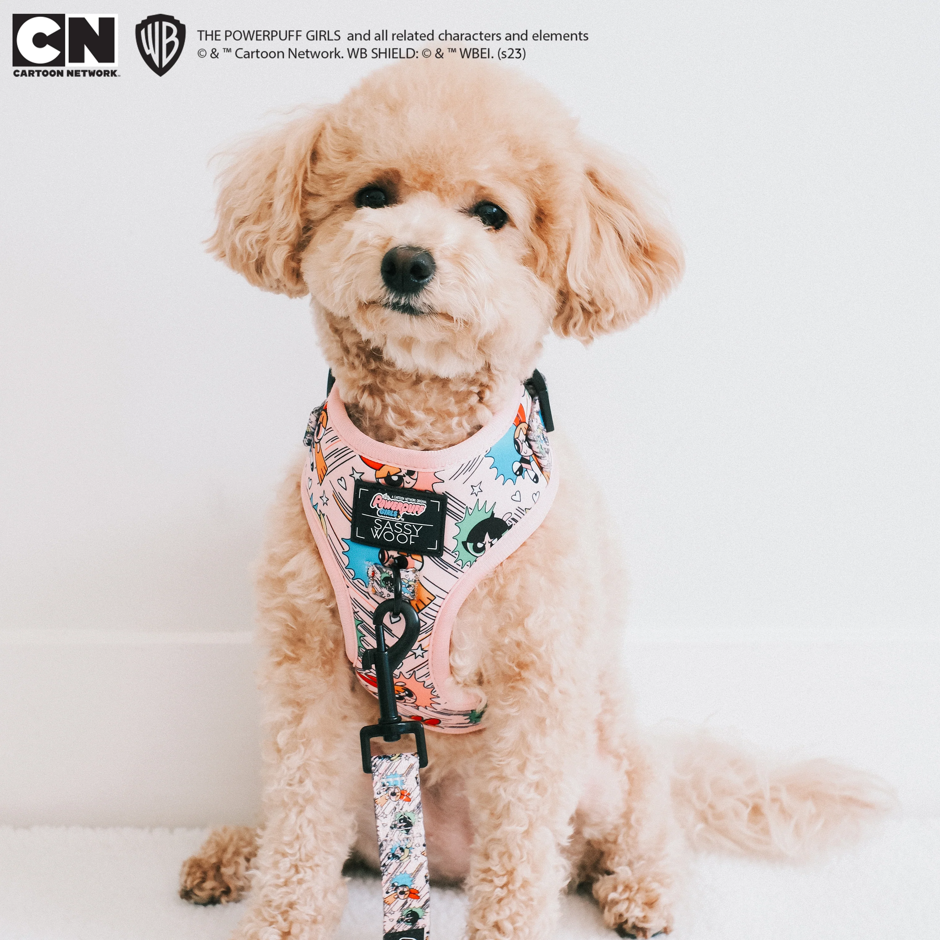 Dog Adjustable Harness - The Powerpuff Girls™ (Pink) - Image 15