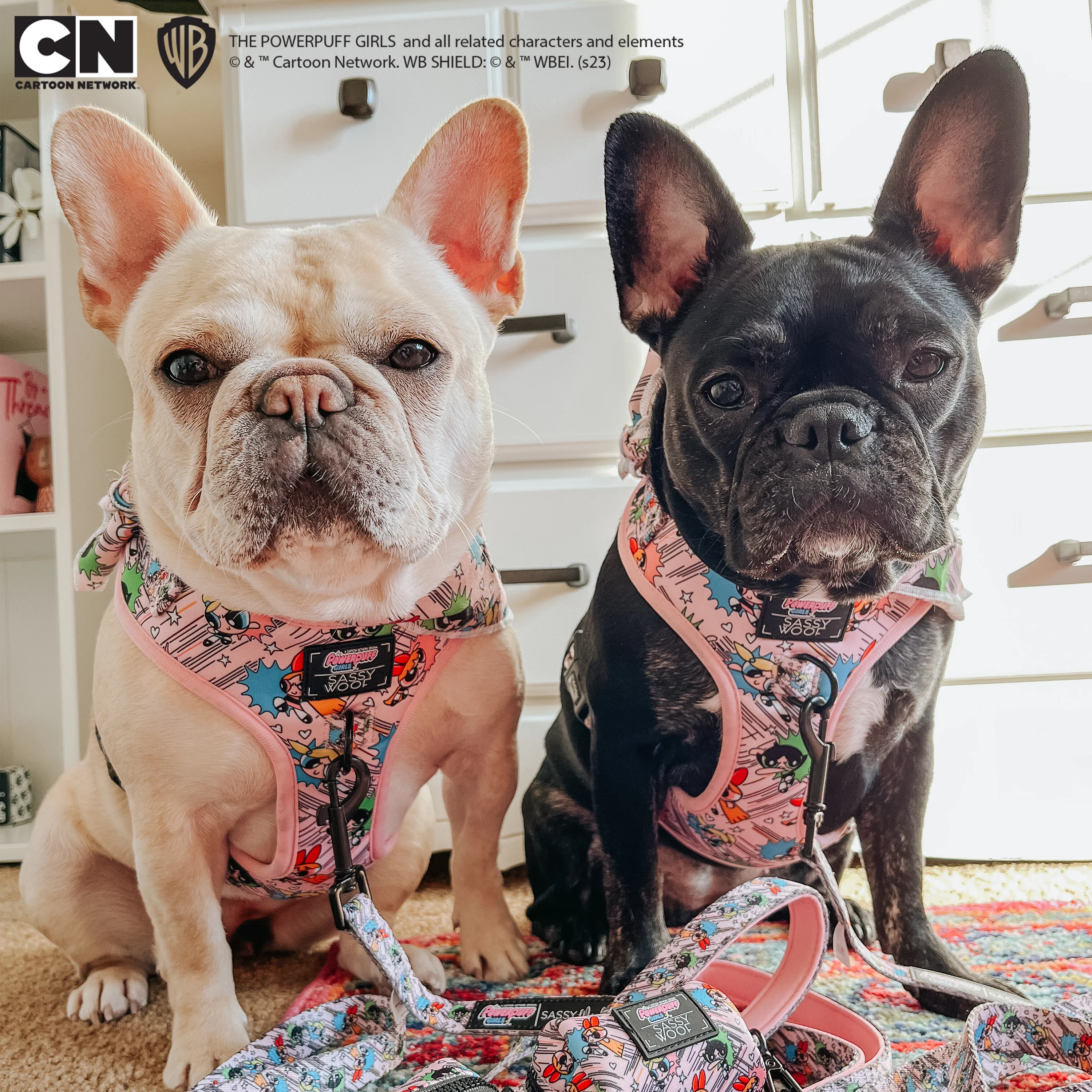 Dog Adjustable Harness - The Powerpuff Girls™ (Pink) - Image 17