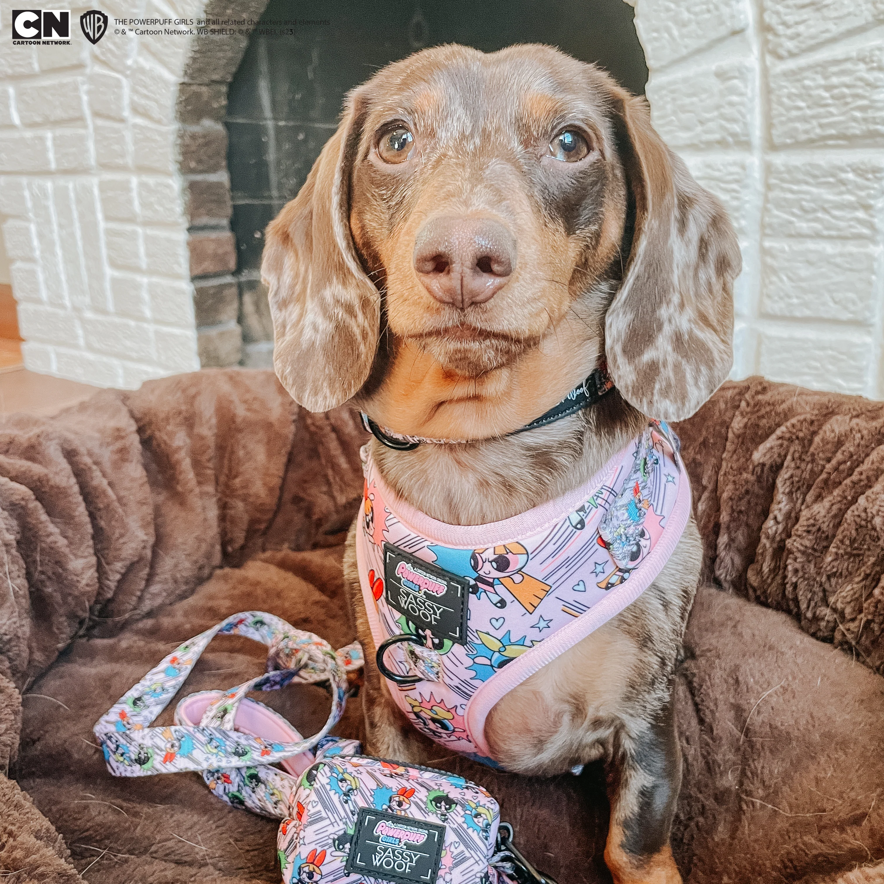 Dog Adjustable Harness - The Powerpuff Girls™ (Pink) - Image 18