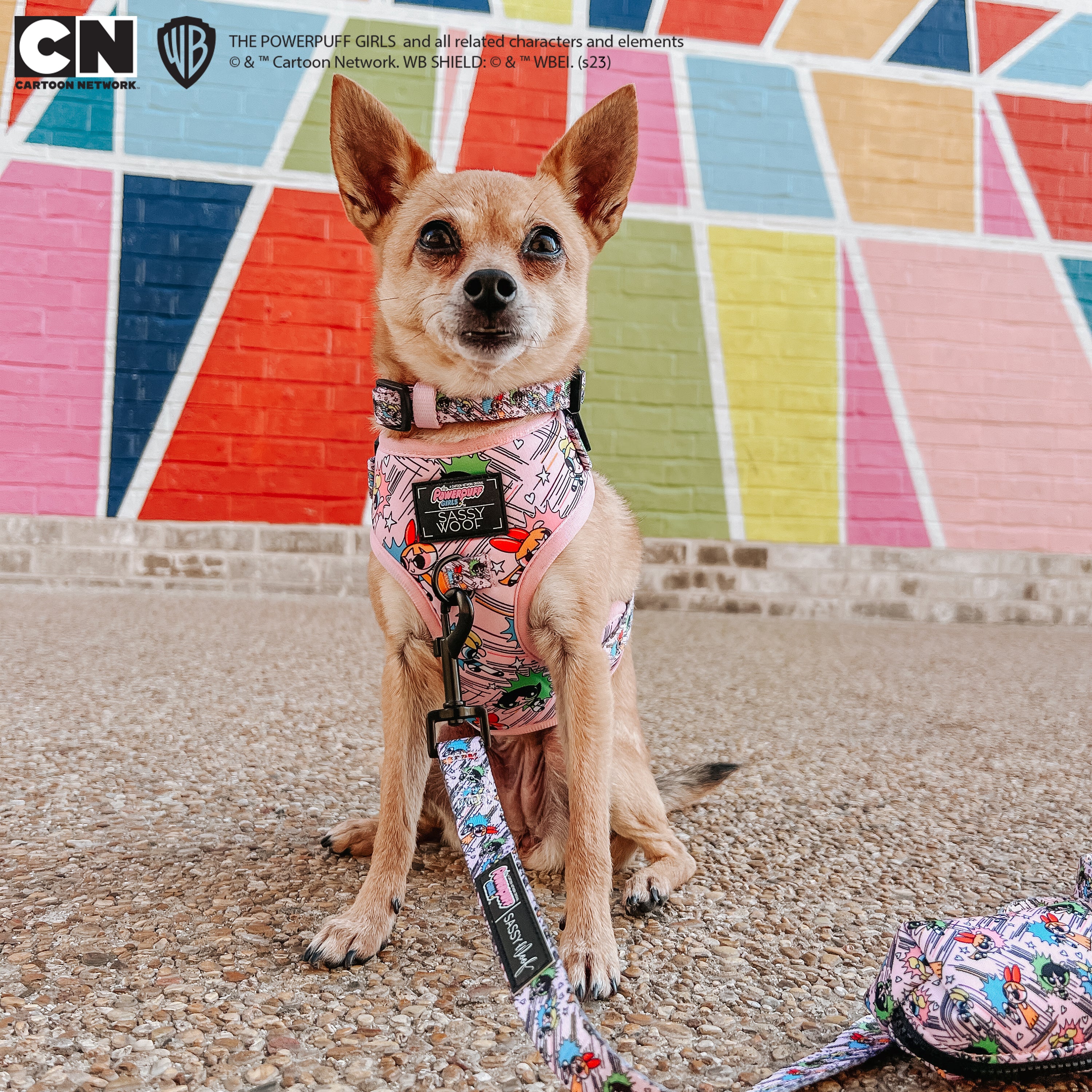 Dog Adjustable Harness - The Powerpuff Girls™ (Pink) - Image 19