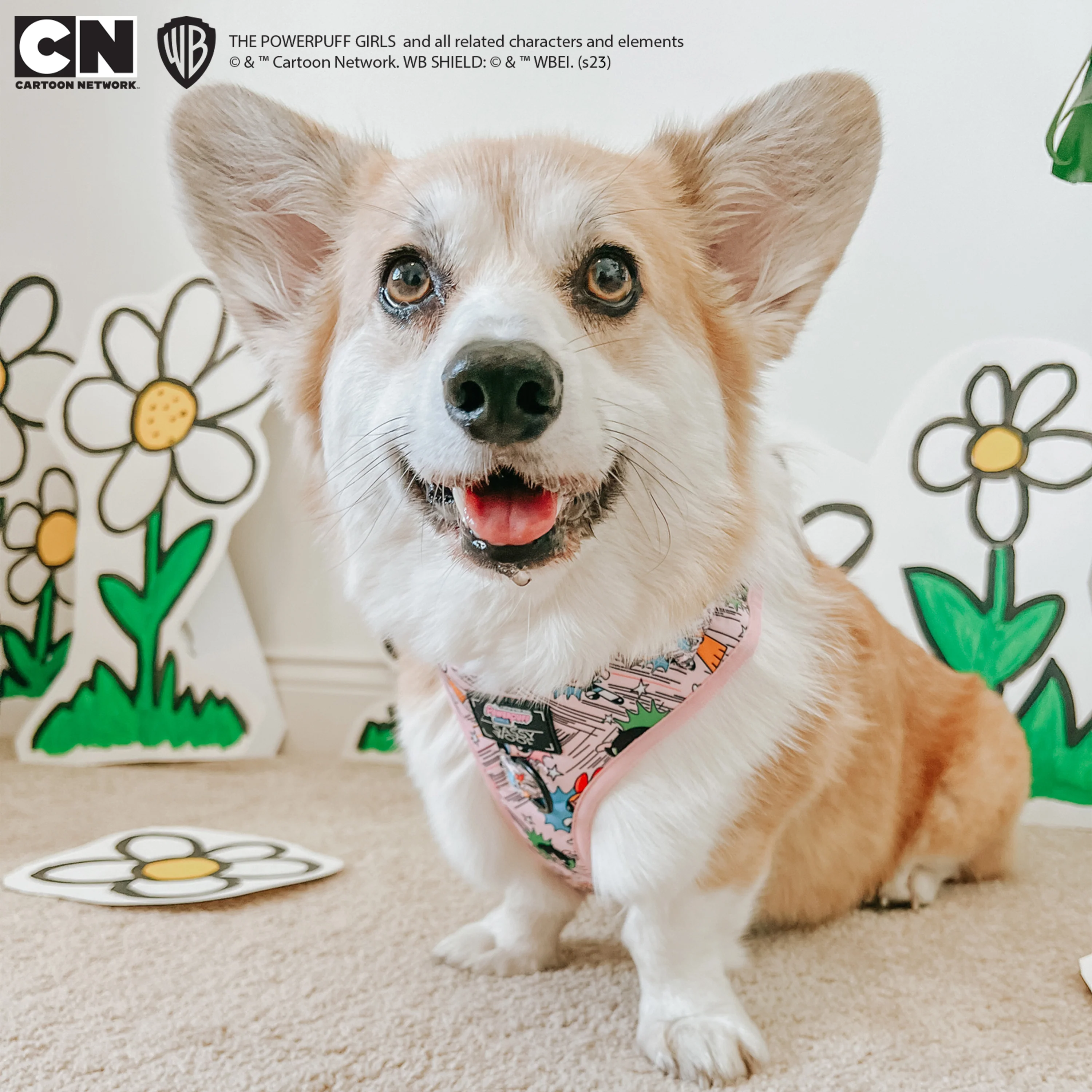 Dog Adjustable Harness - The Powerpuff Girls™ (Pink) - Image 20