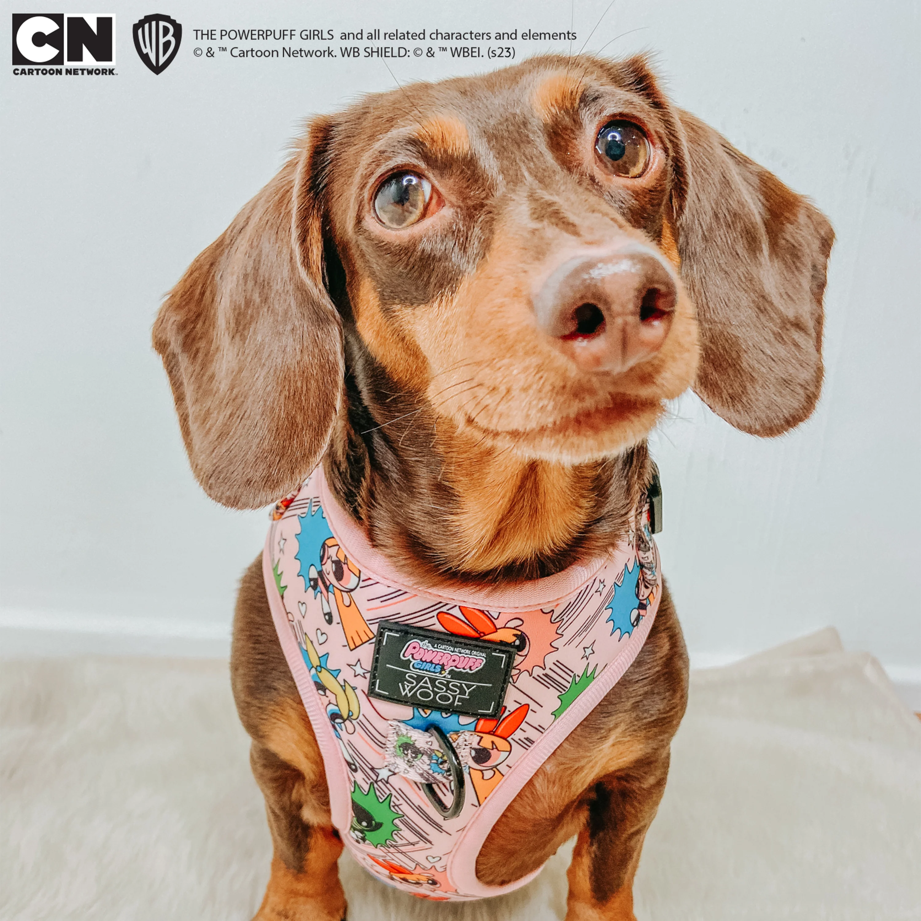 Dog Adjustable Harness - The Powerpuff Girls™ (Pink) - Image 21