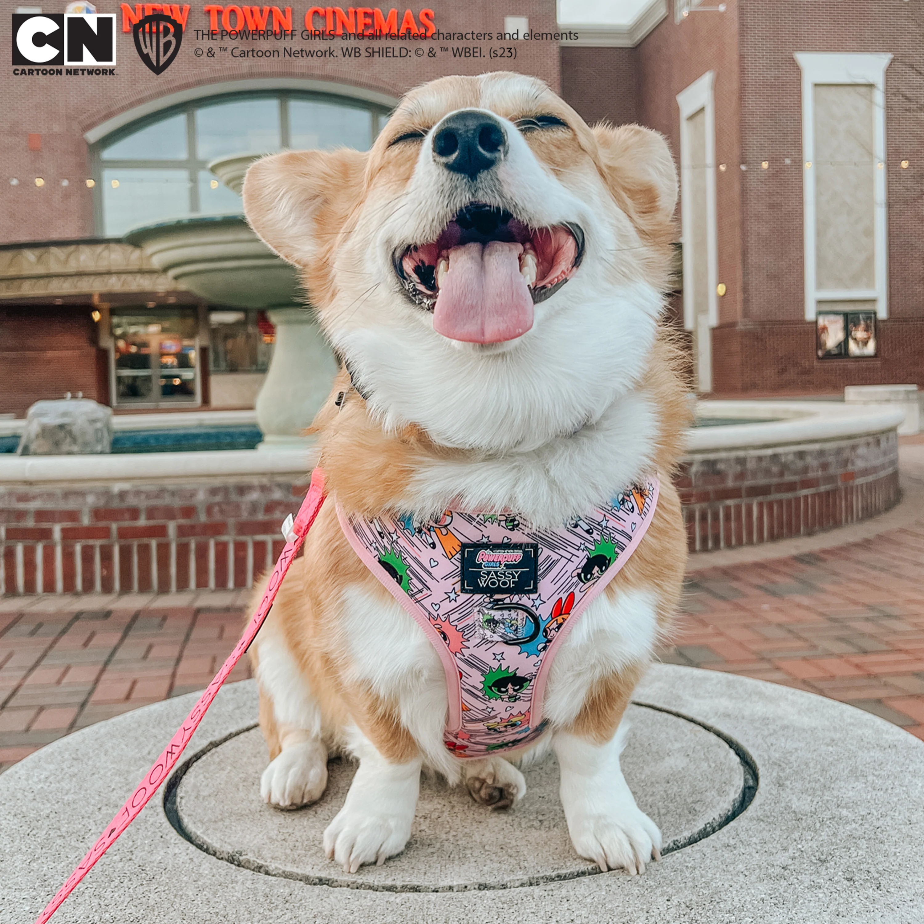 Dog Adjustable Harness - The Powerpuff Girls™ (Pink) - Image 22