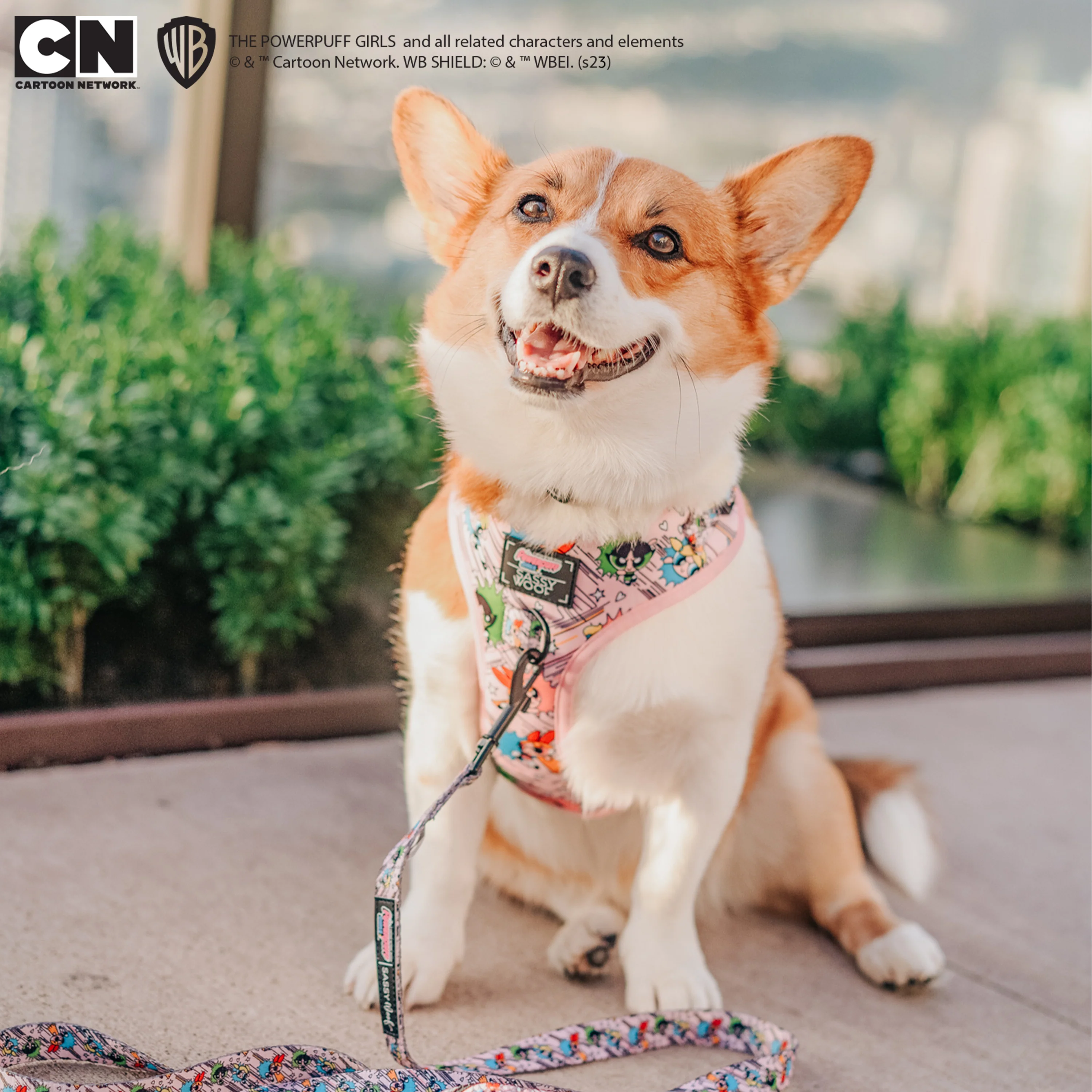 Dog Adjustable Harness - The Powerpuff Girls™ (Pink) - Image 23