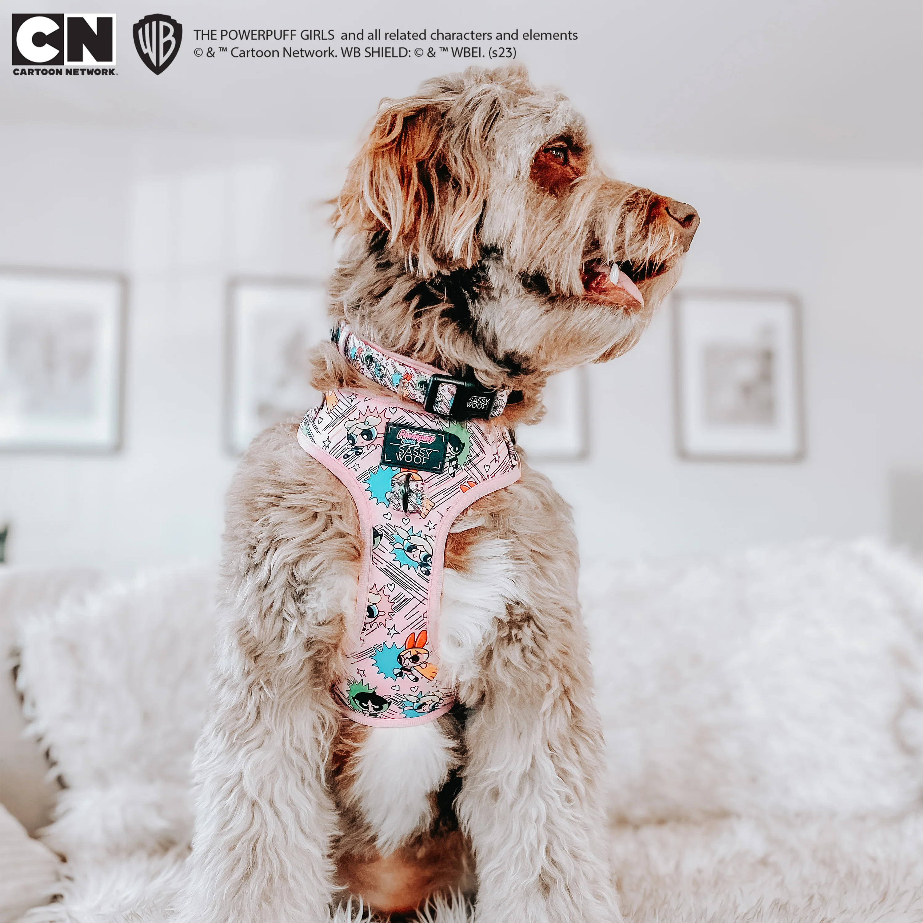 Dog Adjustable Harness - The Powerpuff Girls™ (Pink) - Image 8