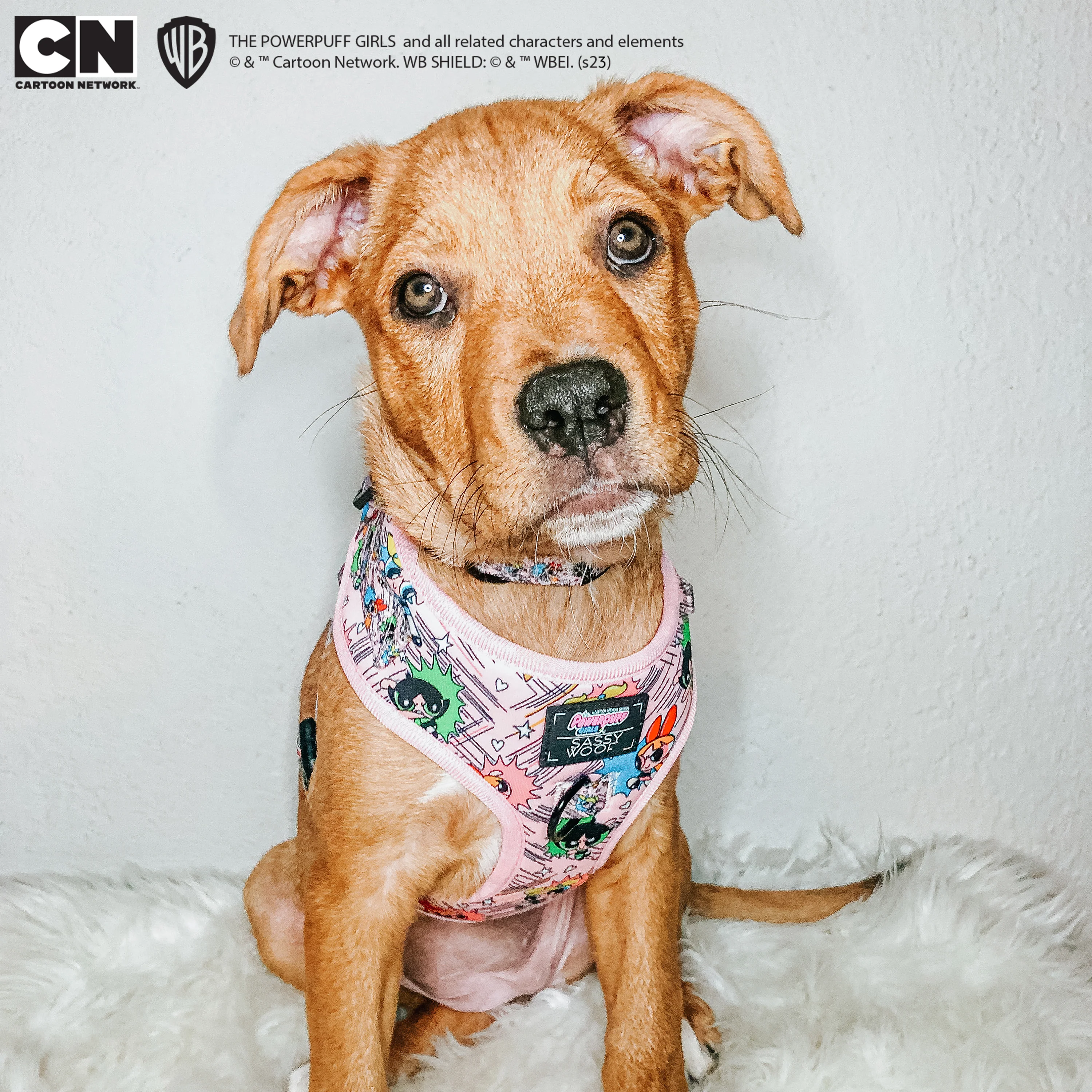 Dog Adjustable Harness - The Powerpuff Girls™ (Pink) - Image 9