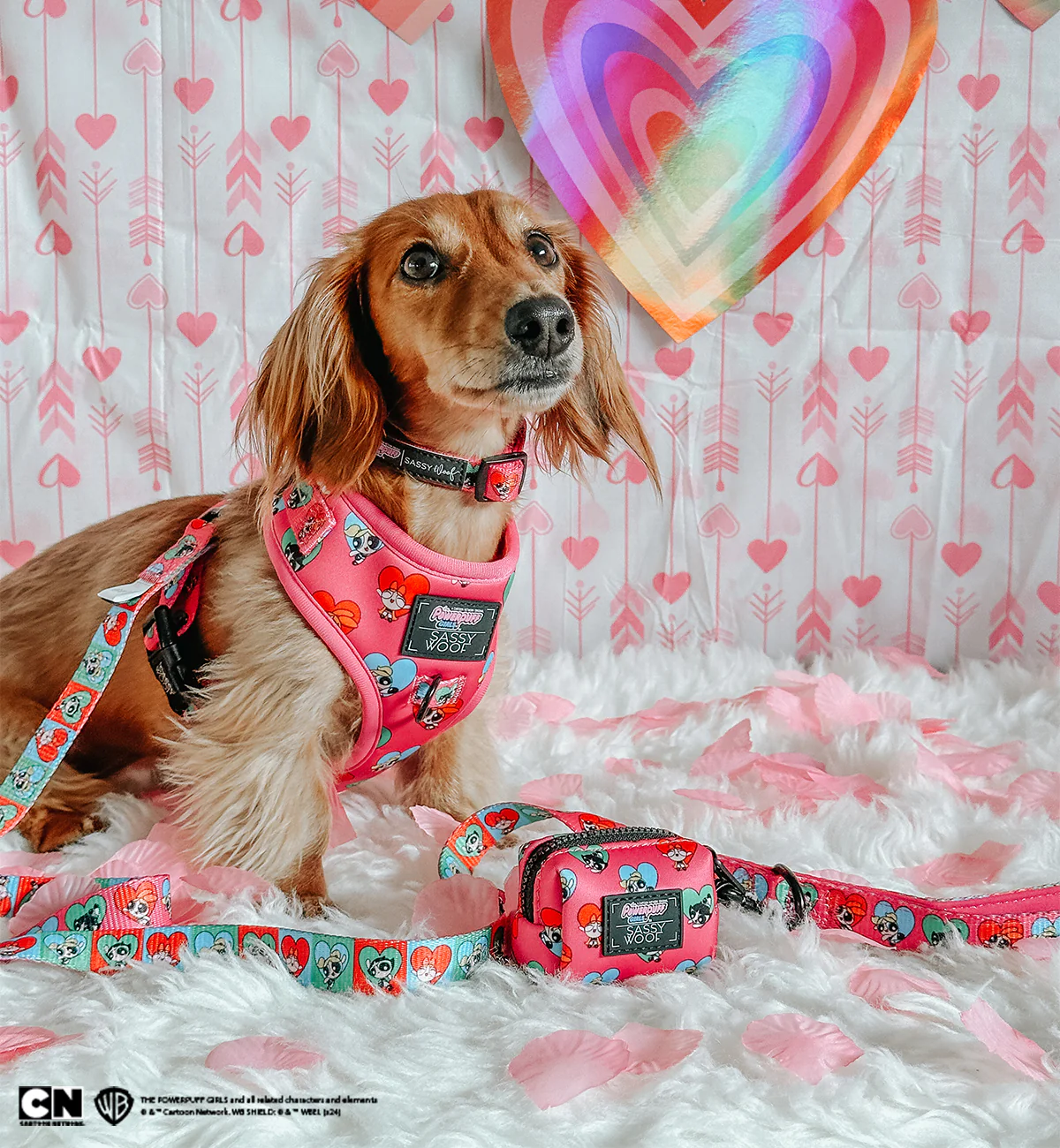 Dog Adjustable Harness - The Powerpuff Girls™ (Love) - Image 8
