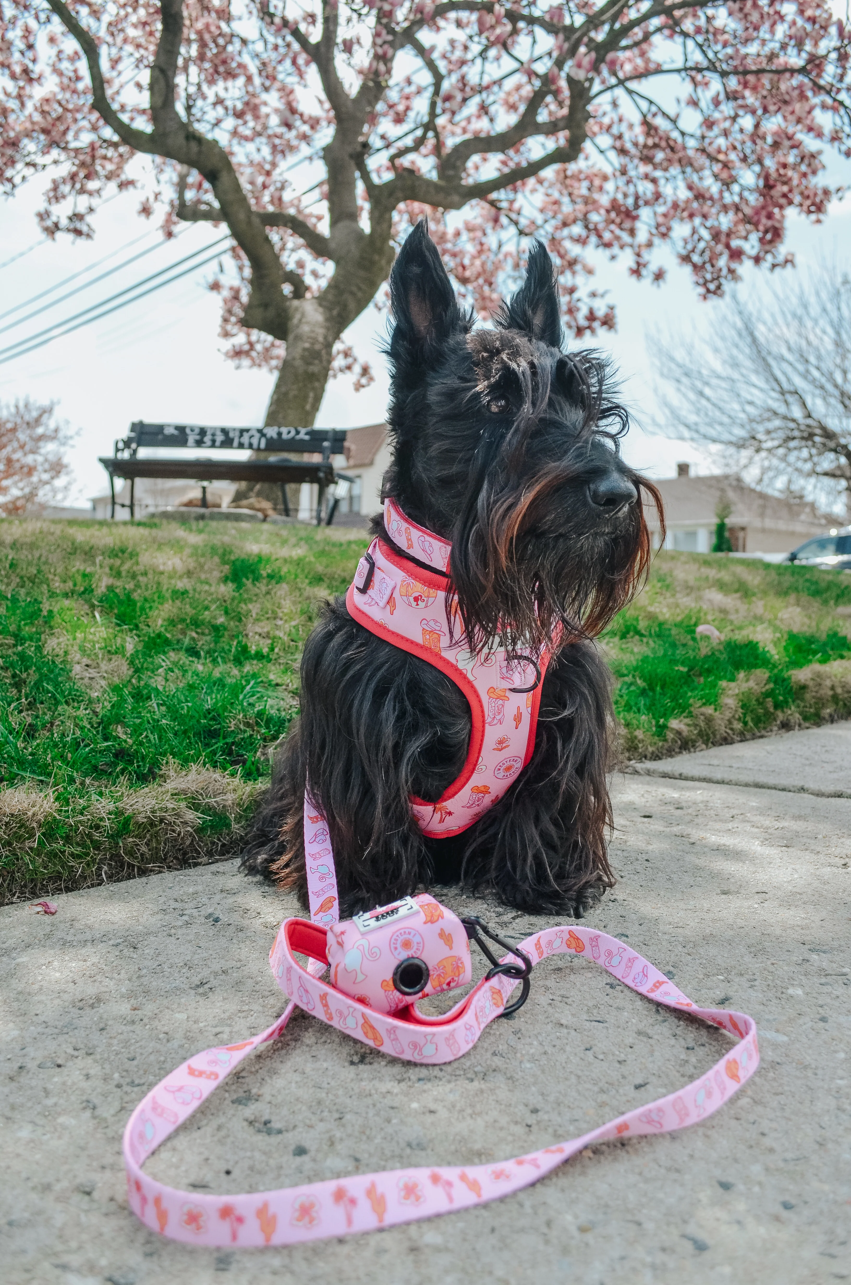Dog Adjustable Harness - Western Barbie™ - Image 5