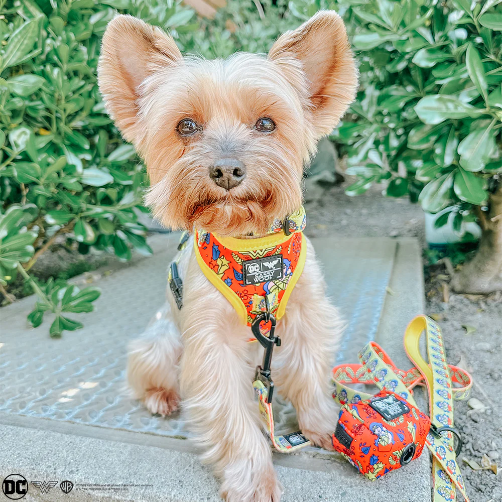 Dog Adjustable Harness - Wonder Woman™ - Image 10