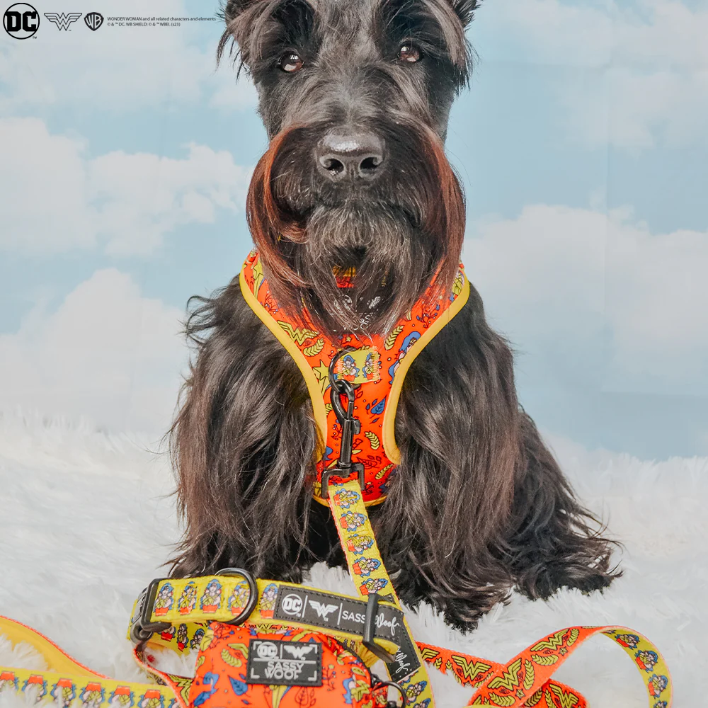 Dog Adjustable Harness - Wonder Woman™ - Image 11