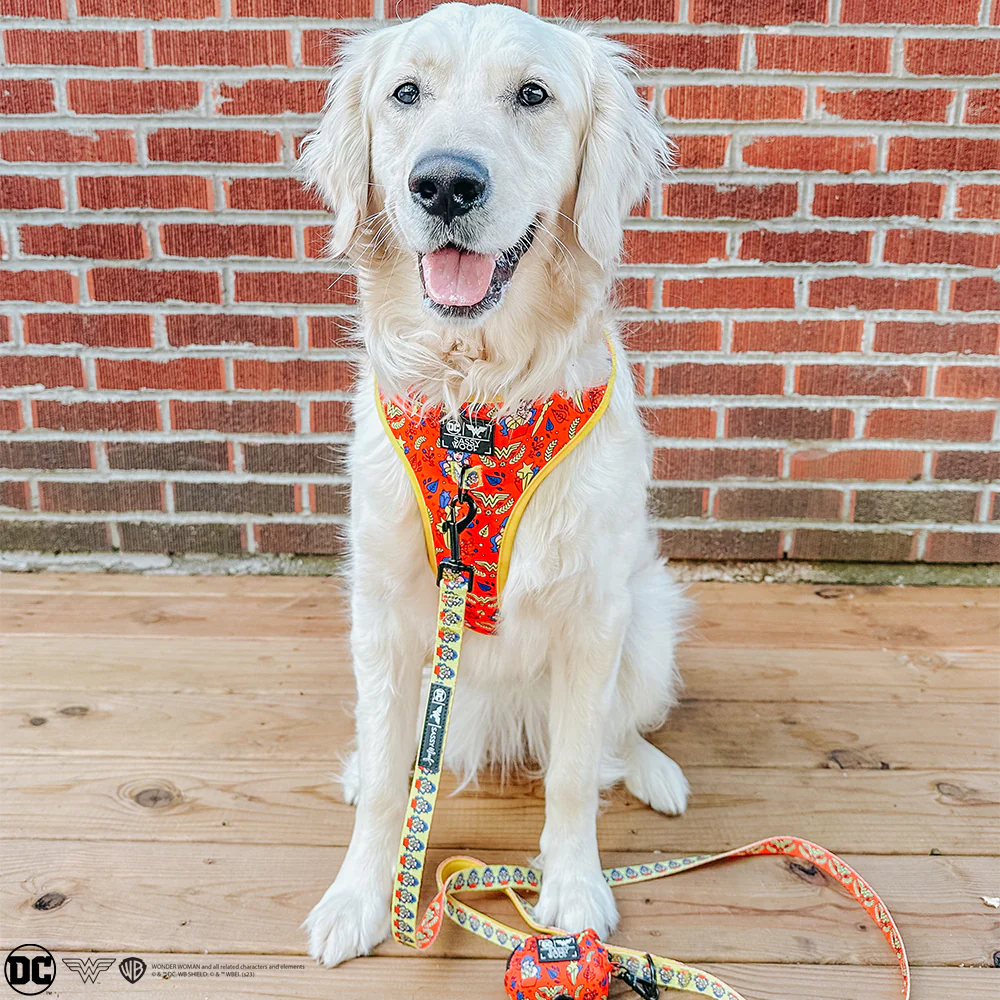 Dog Adjustable Harness - Wonder Woman™ - Image 12