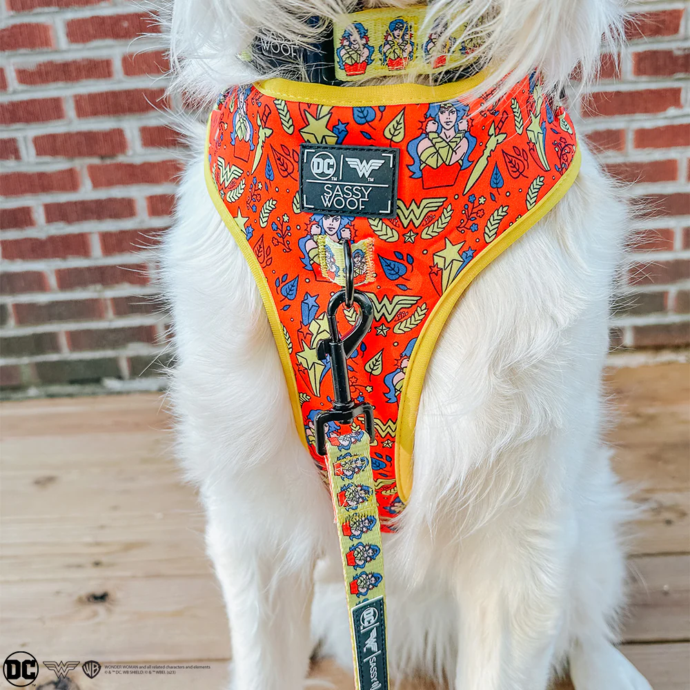 Dog Adjustable Harness - Wonder Woman™ - Image 13