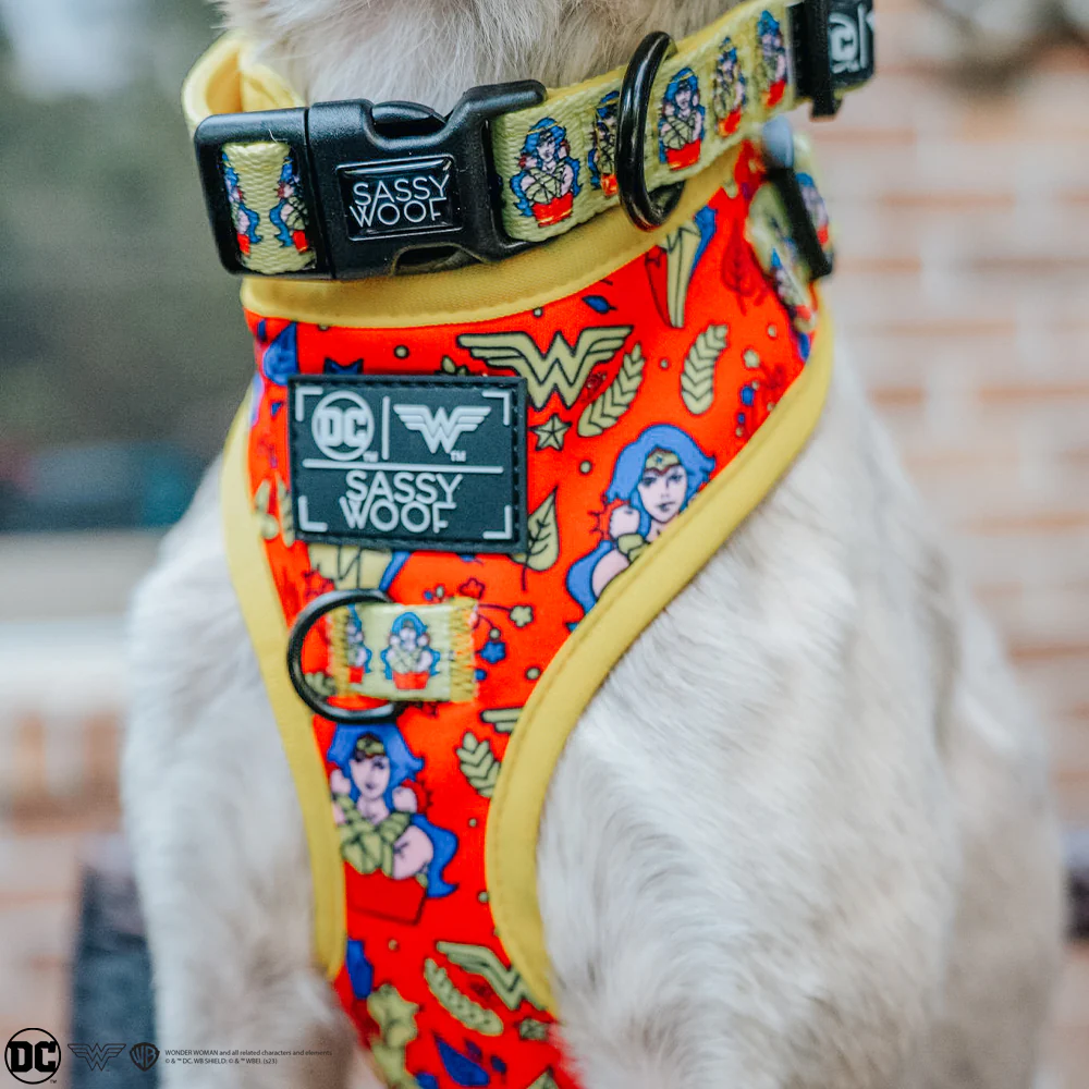 Dog Adjustable Harness - Wonder Woman™ - Image 15