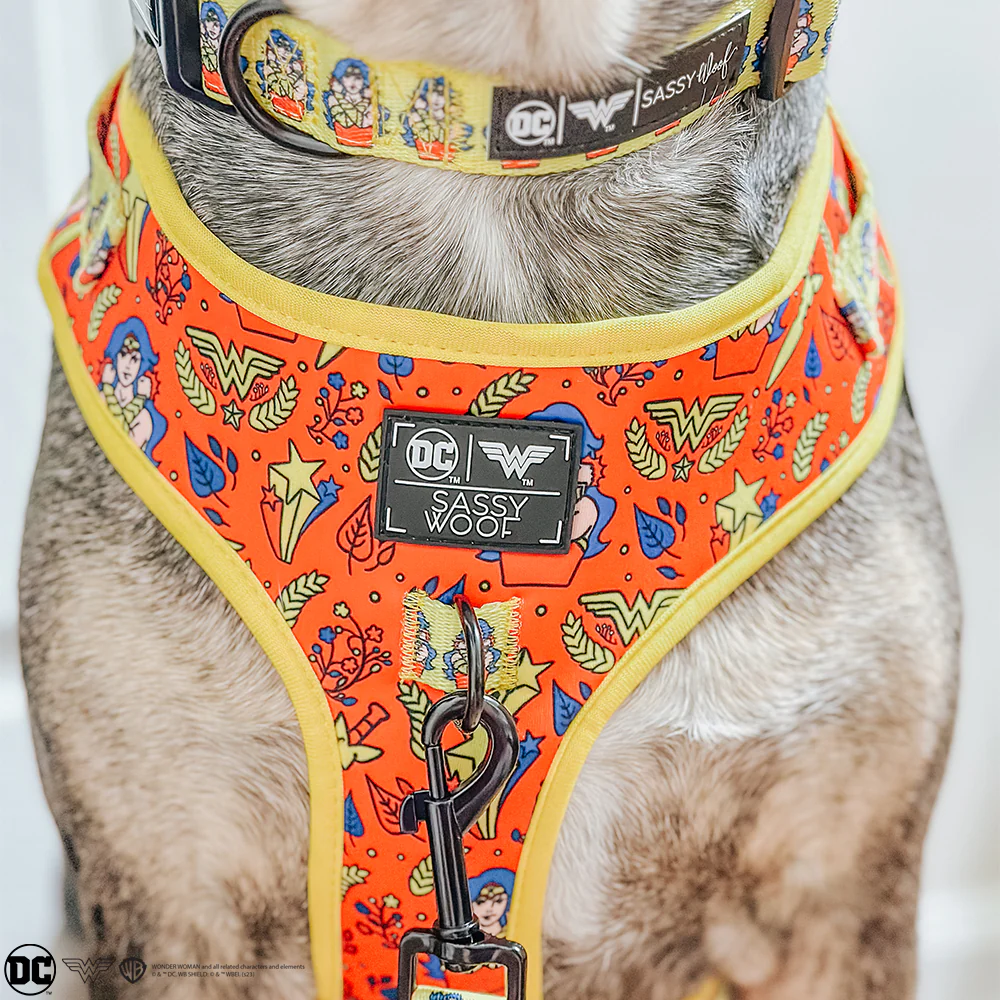 Dog Adjustable Harness - Wonder Woman™ - Image 16