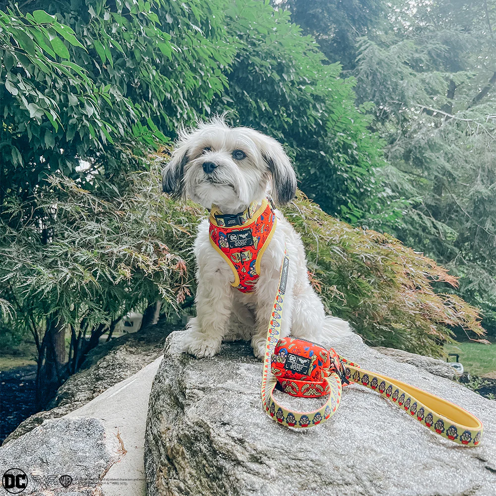 Dog Adjustable Harness - Wonder Woman™ - Image 17