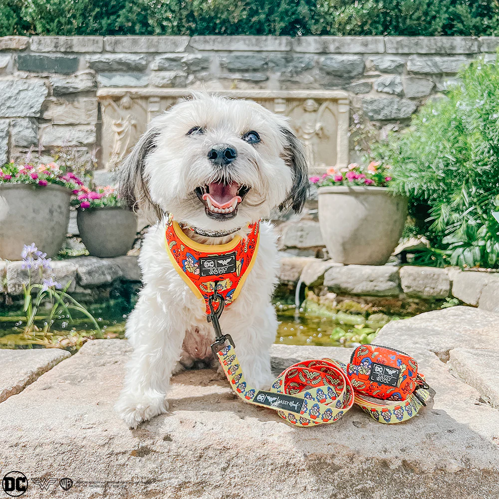 Dog Adjustable Harness - Wonder Woman™ - Image 18
