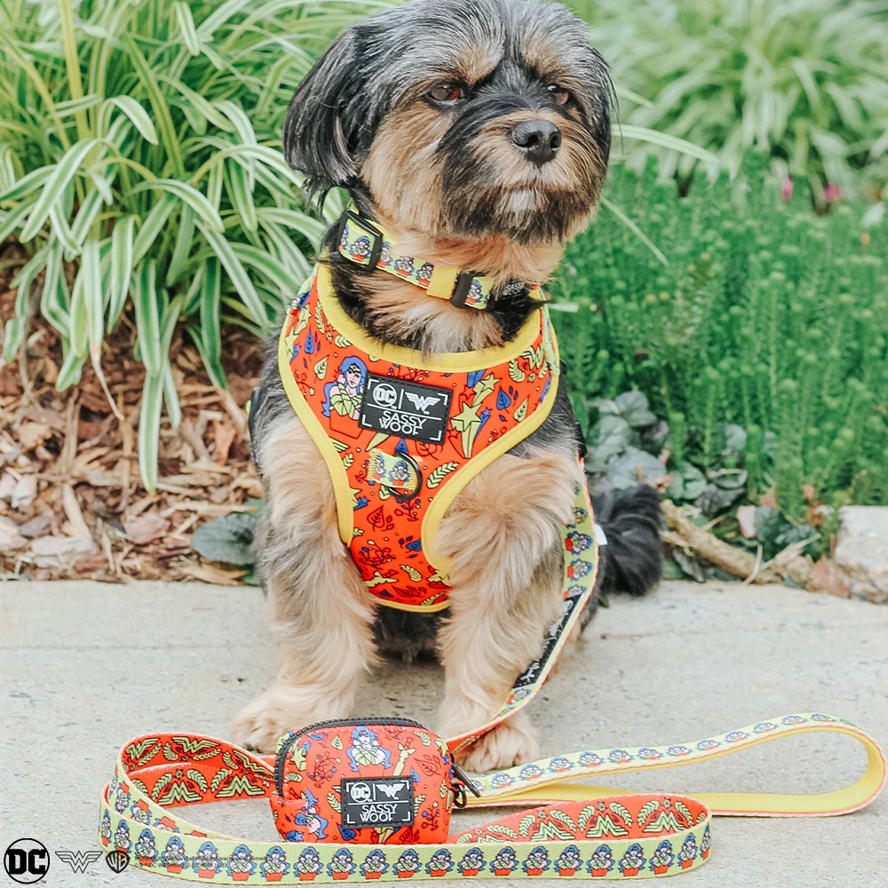 Dog Adjustable Harness - Wonder Woman™ - Image 7