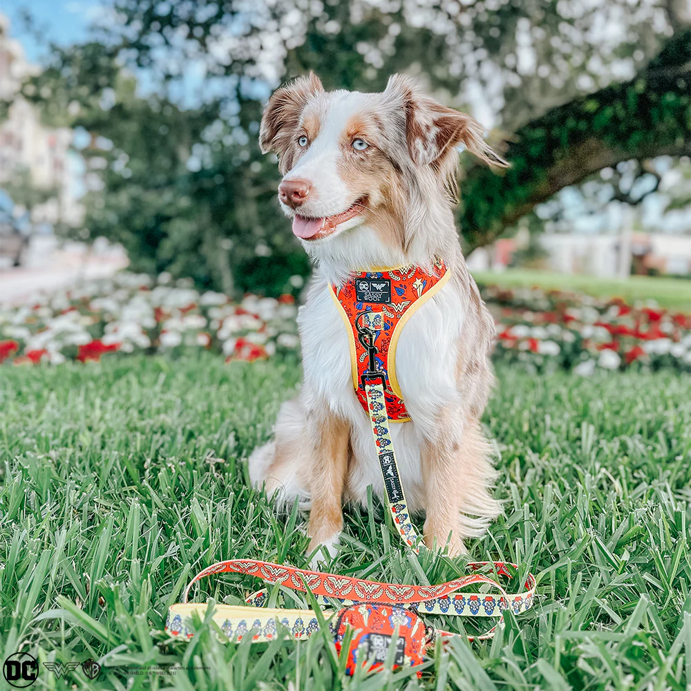 Dog Adjustable Harness - Wonder Woman™ - Image 8