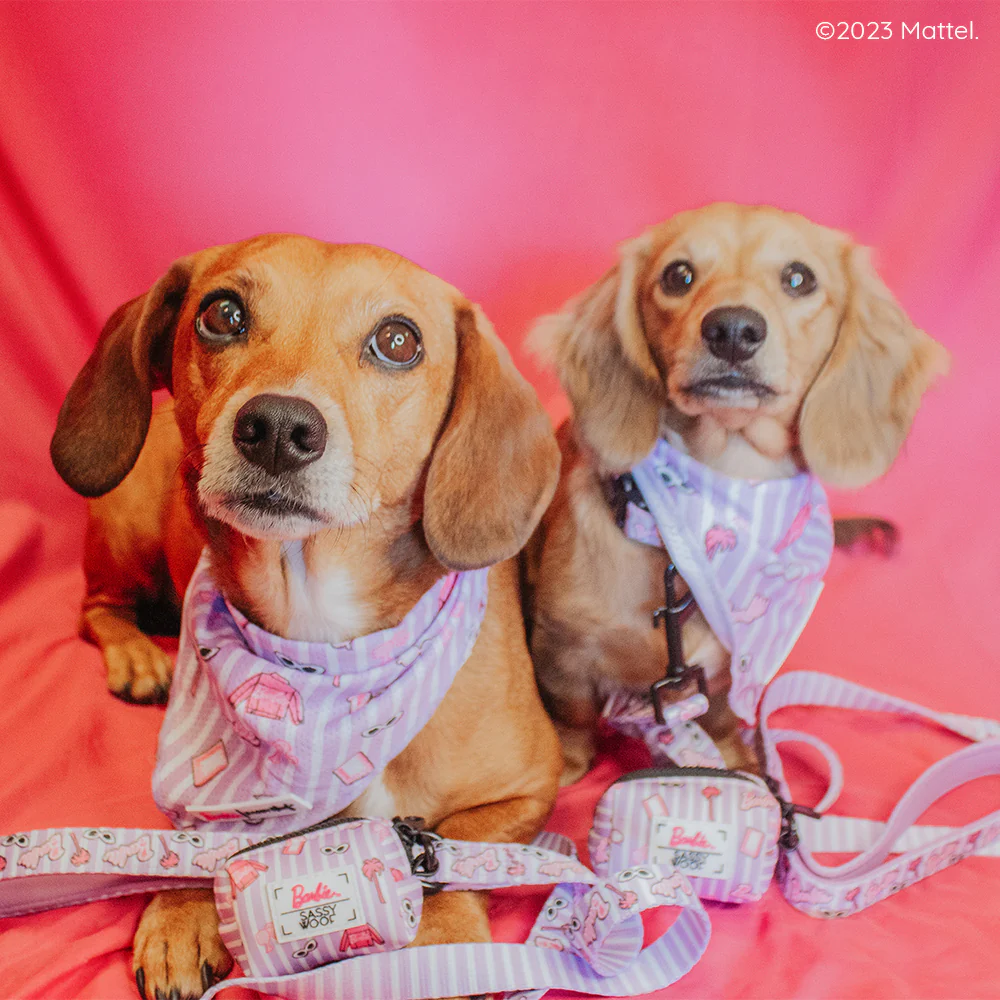 Dog Bandana - BARBIE™ Closet Goals - Image 10