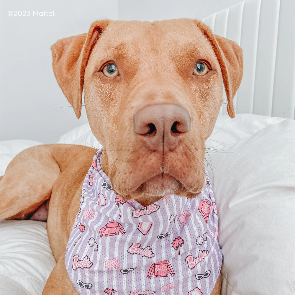 Dog Bandana - BARBIE™ Closet Goals - Image 9