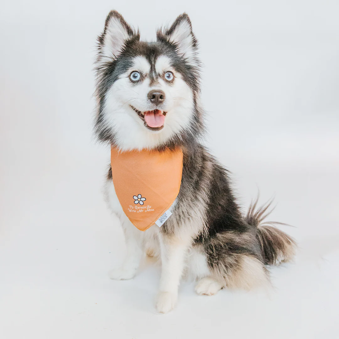 Dog Bandana - I'd Rather Be - Image 6