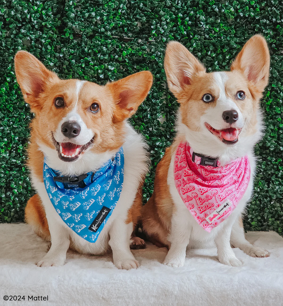 Dog Bandana - KEN™ - Image 6