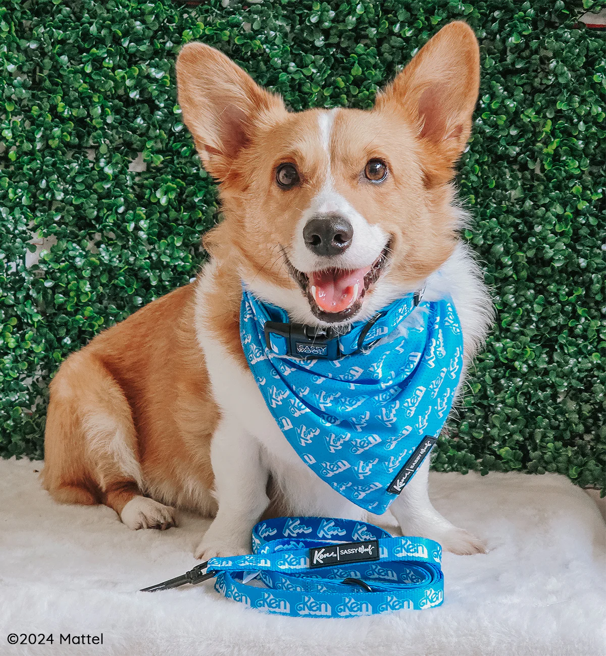 Dog Bandana - KEN™ - Image 7