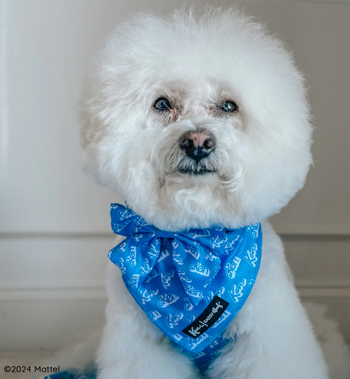 Dog Bandana - KEN™ - Image 8