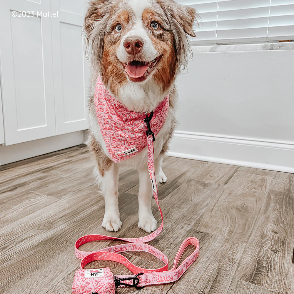 Dog Bandana - BARBIE™ Malibu - Image 7