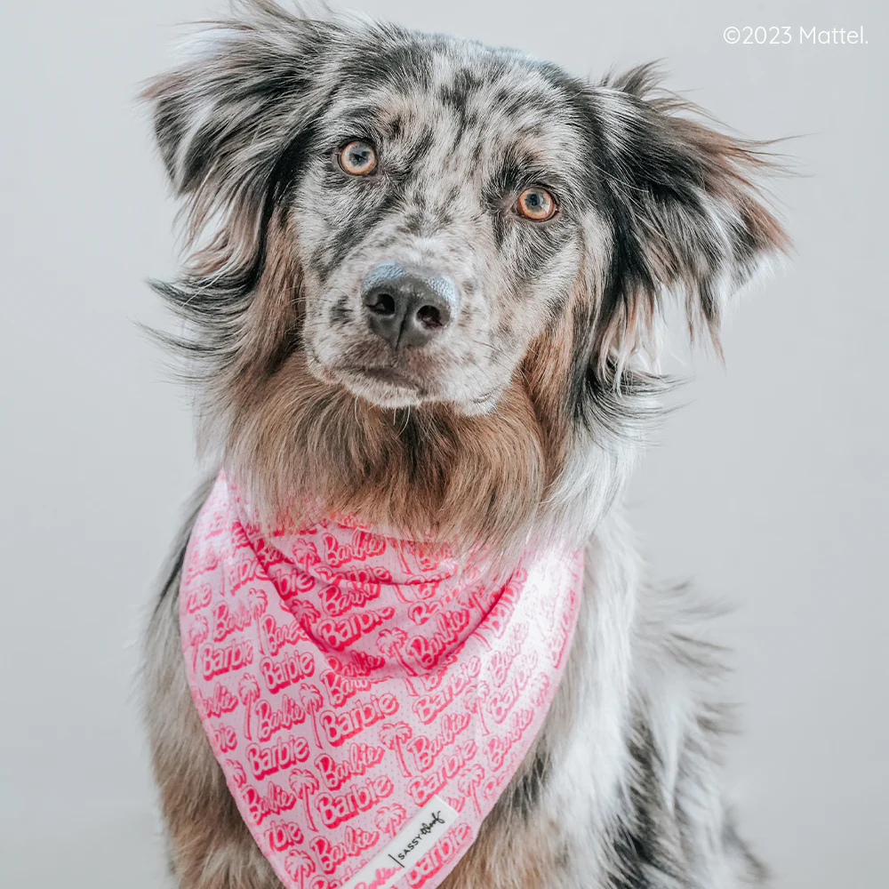 Dog Bandana - BARBIE™ Malibu - Image 8