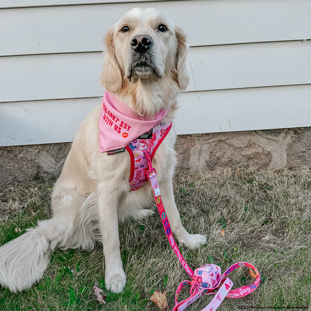 Dog Bandana - Mean Girls™ You Can't Sit With Us - Image 11