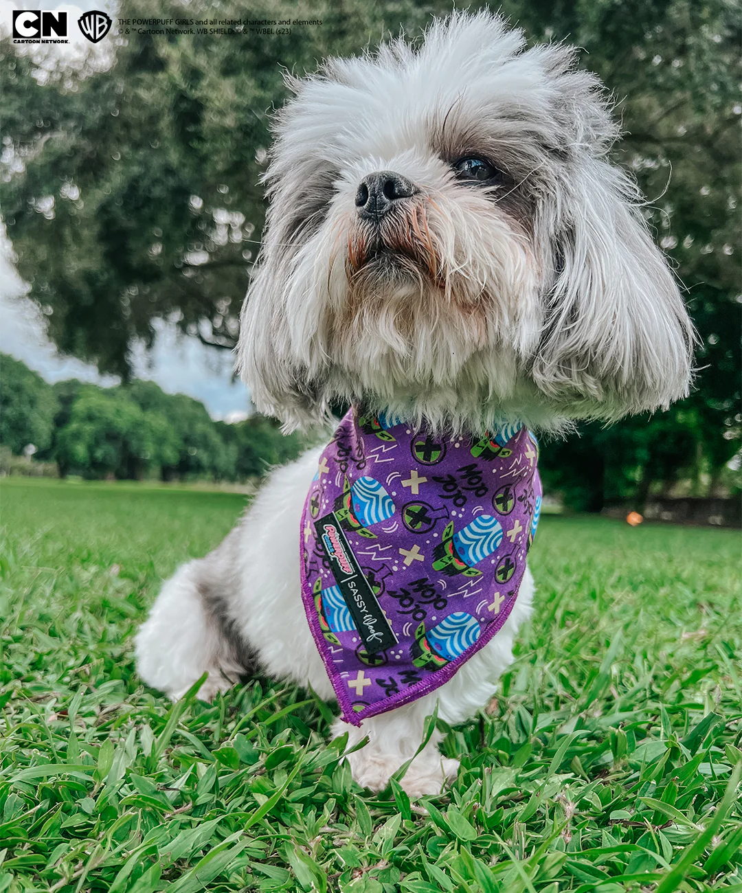 Dog Bandana - Mojo Jojo™ - Image 5
