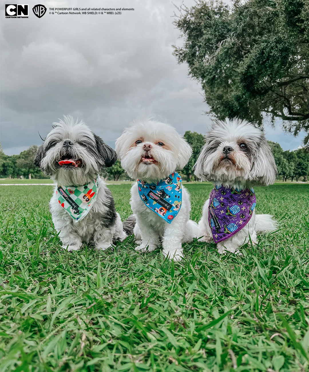 Dog Bandana - Mojo Jojo™ - Image 6
