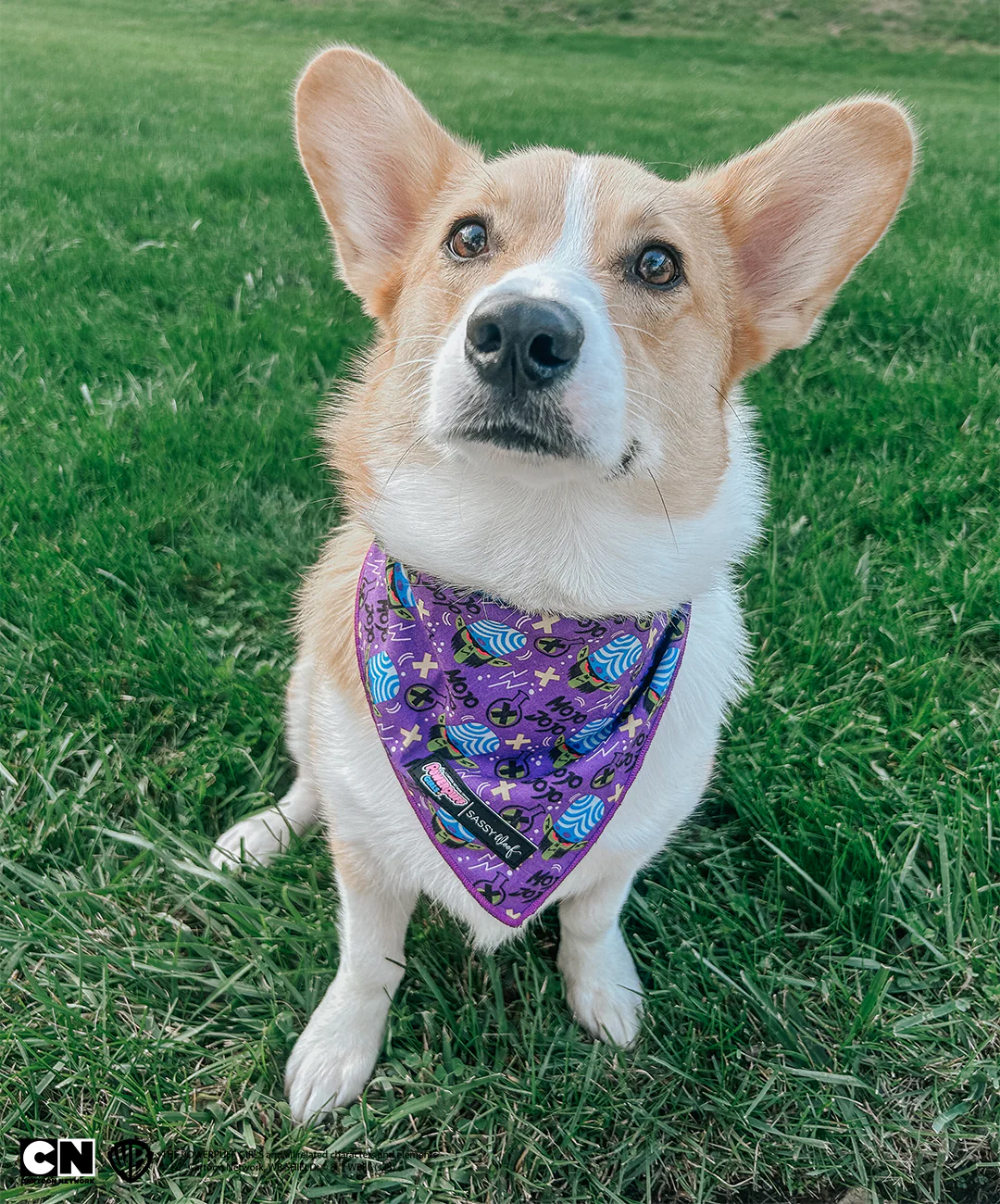 Dog Bandana - Mojo Jojo™ - Image 7