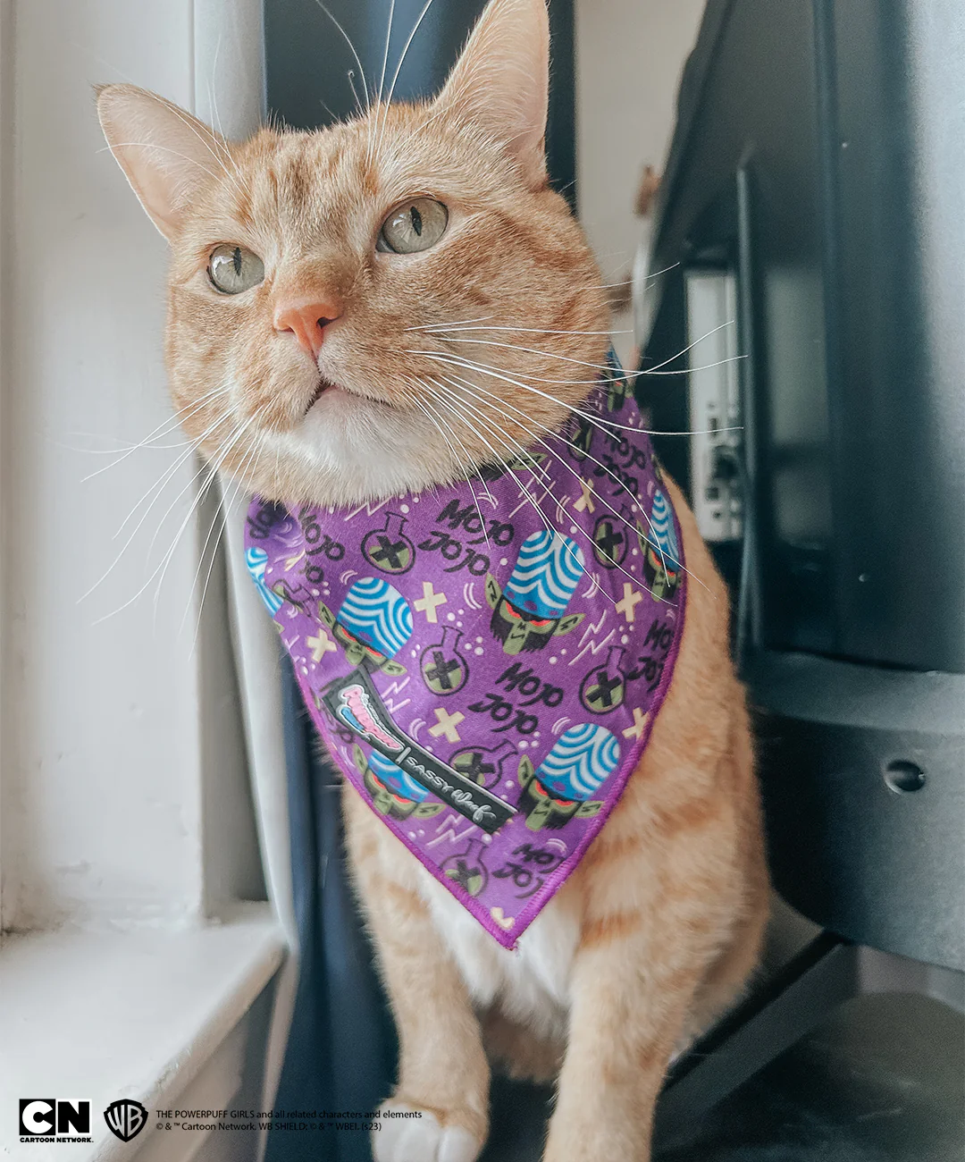 Dog Bandana - Mojo Jojo™ - Image 8