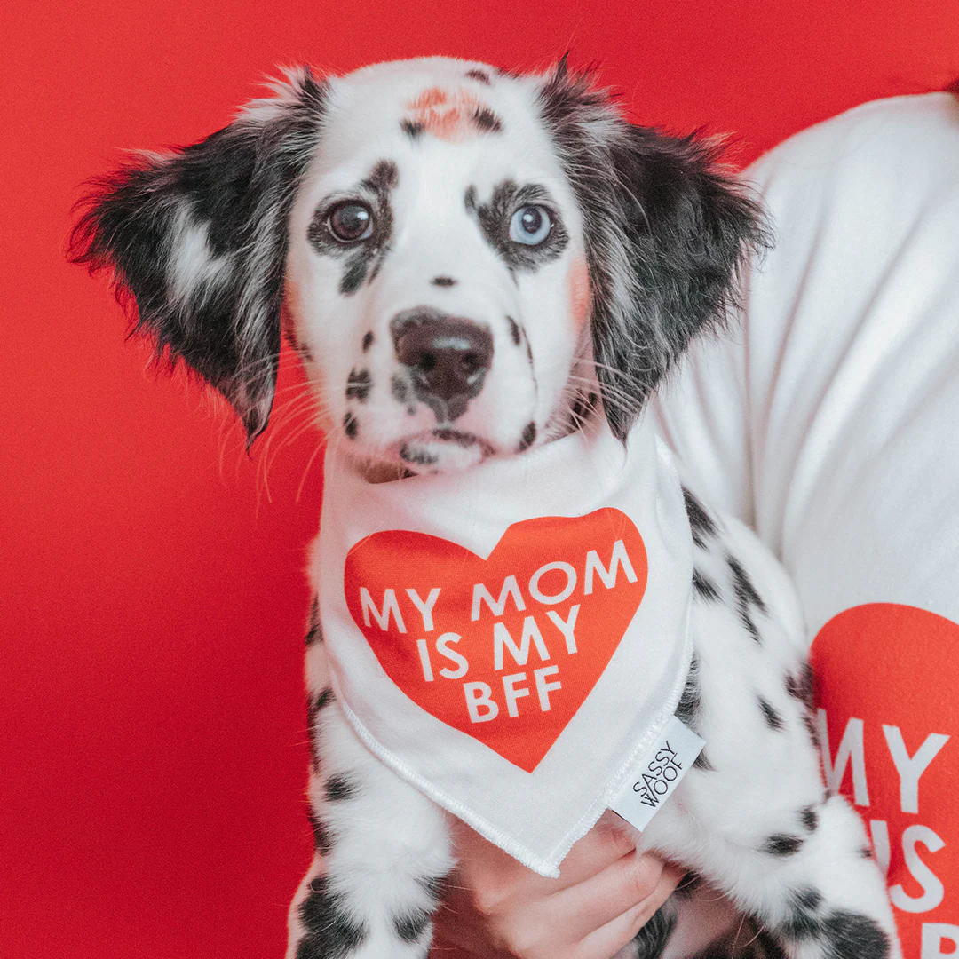 Dog Bandana - My Mom is my BFF (RED) - Image 4