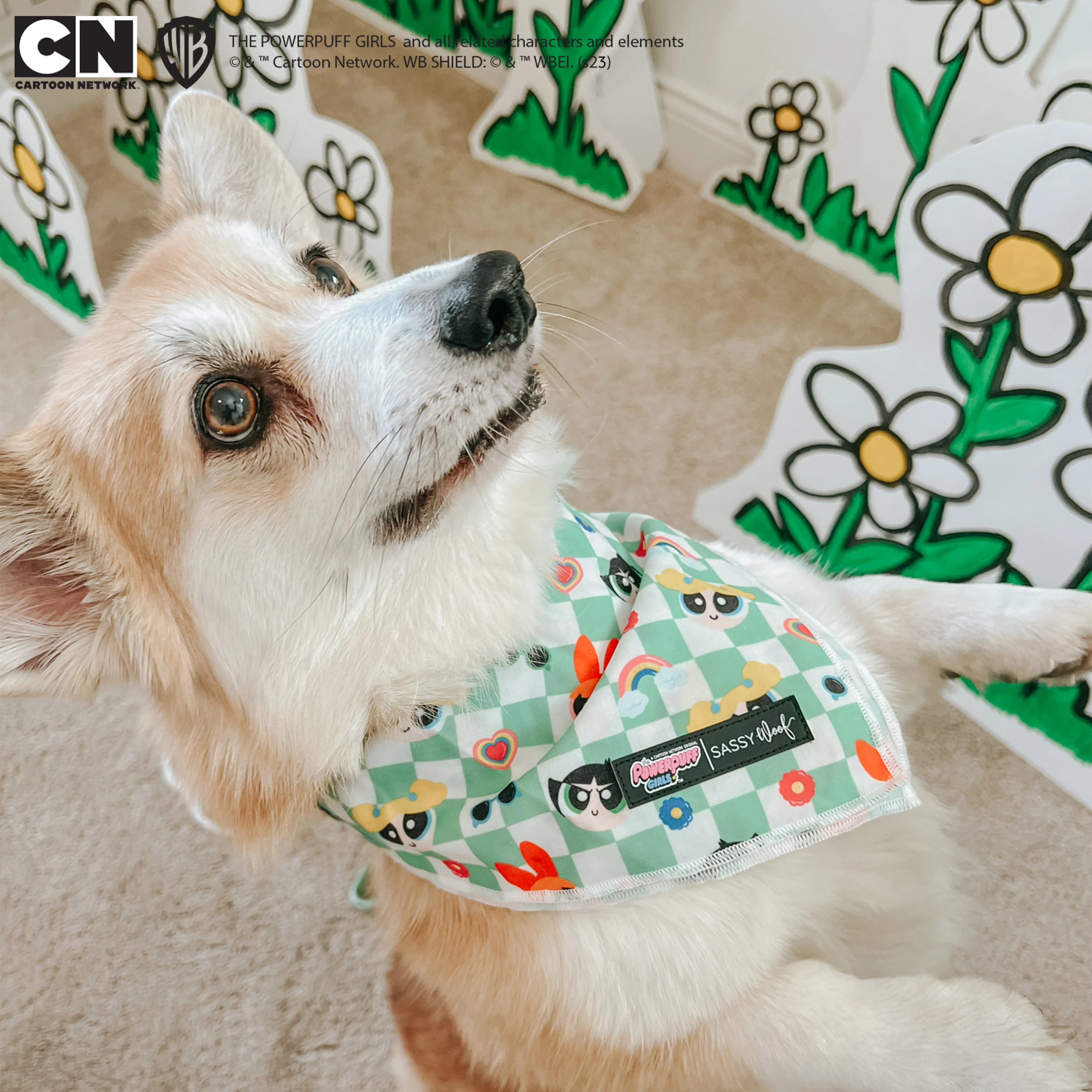 Dog Bandana - The Powerpuff Girls™ (Green) - Image 11