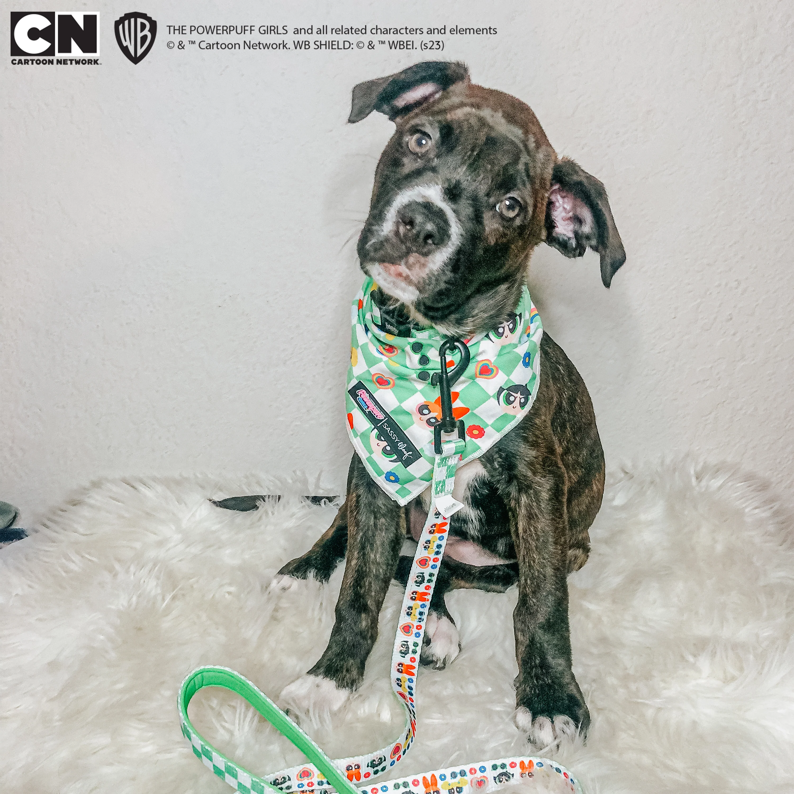 Dog Bandana - The Powerpuff Girls™ (Green) - Image 12