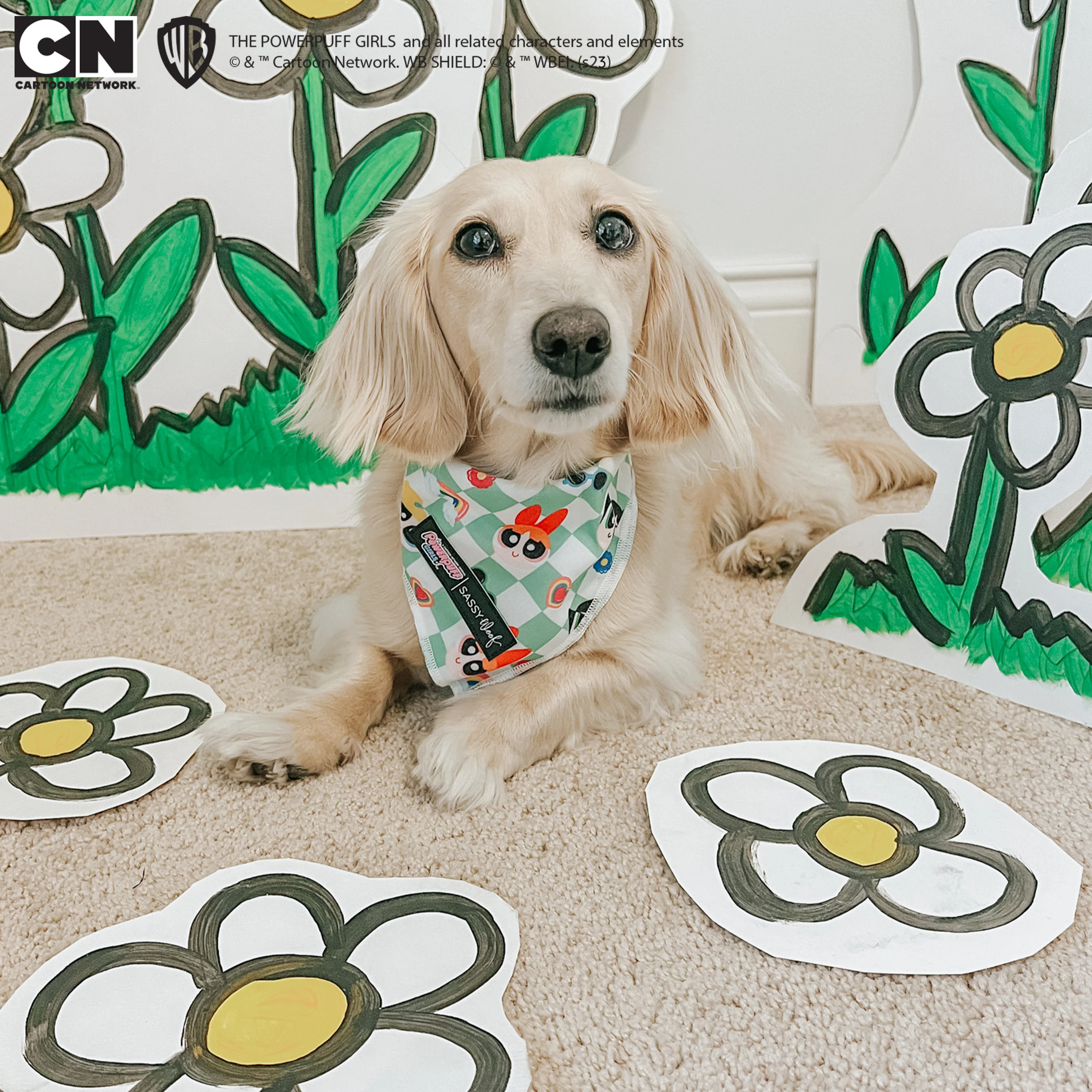 Dog Bandana - The Powerpuff Girls™ (Green) - Image 17