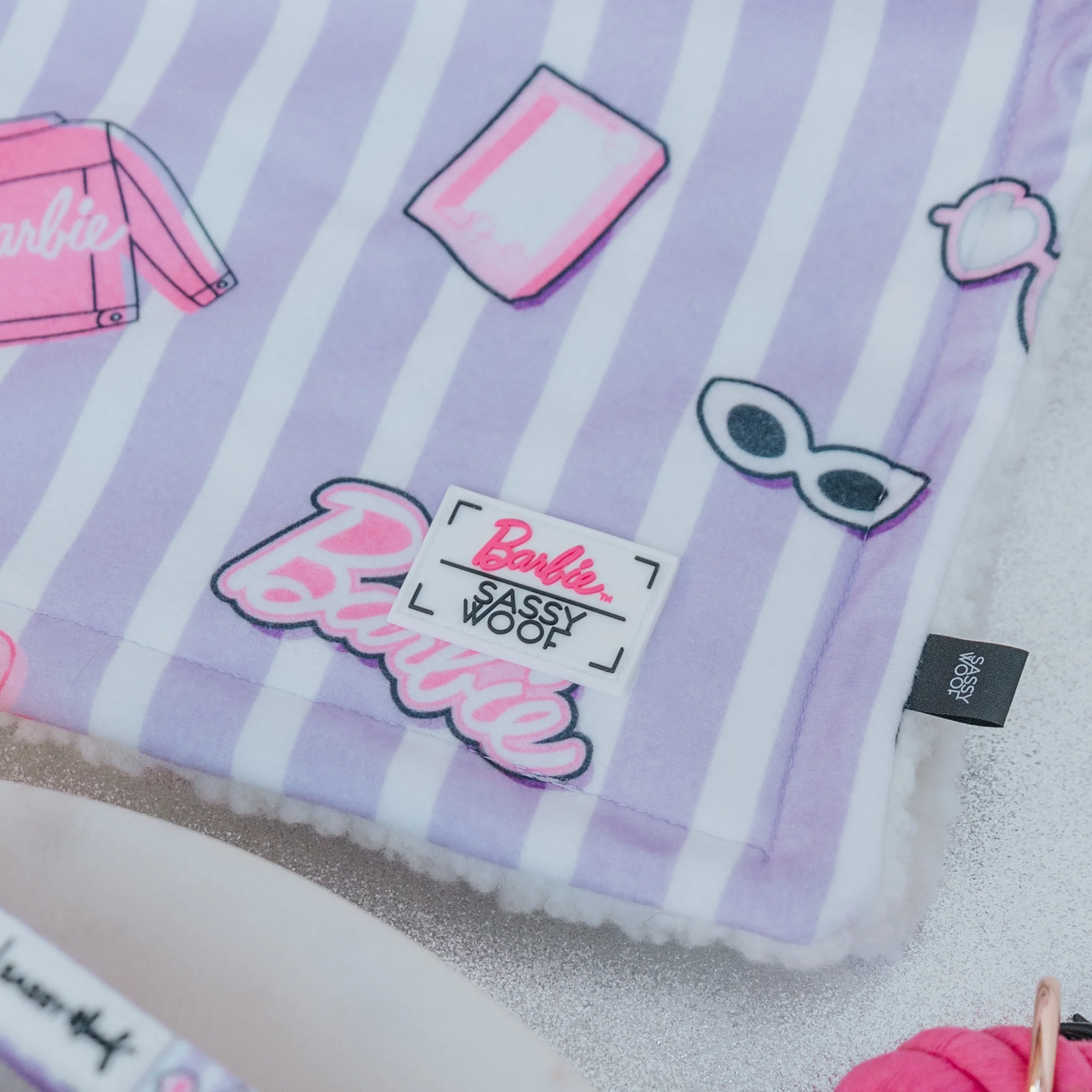 Pet Blanket - BARBIE™ Closet Goals - Image 3