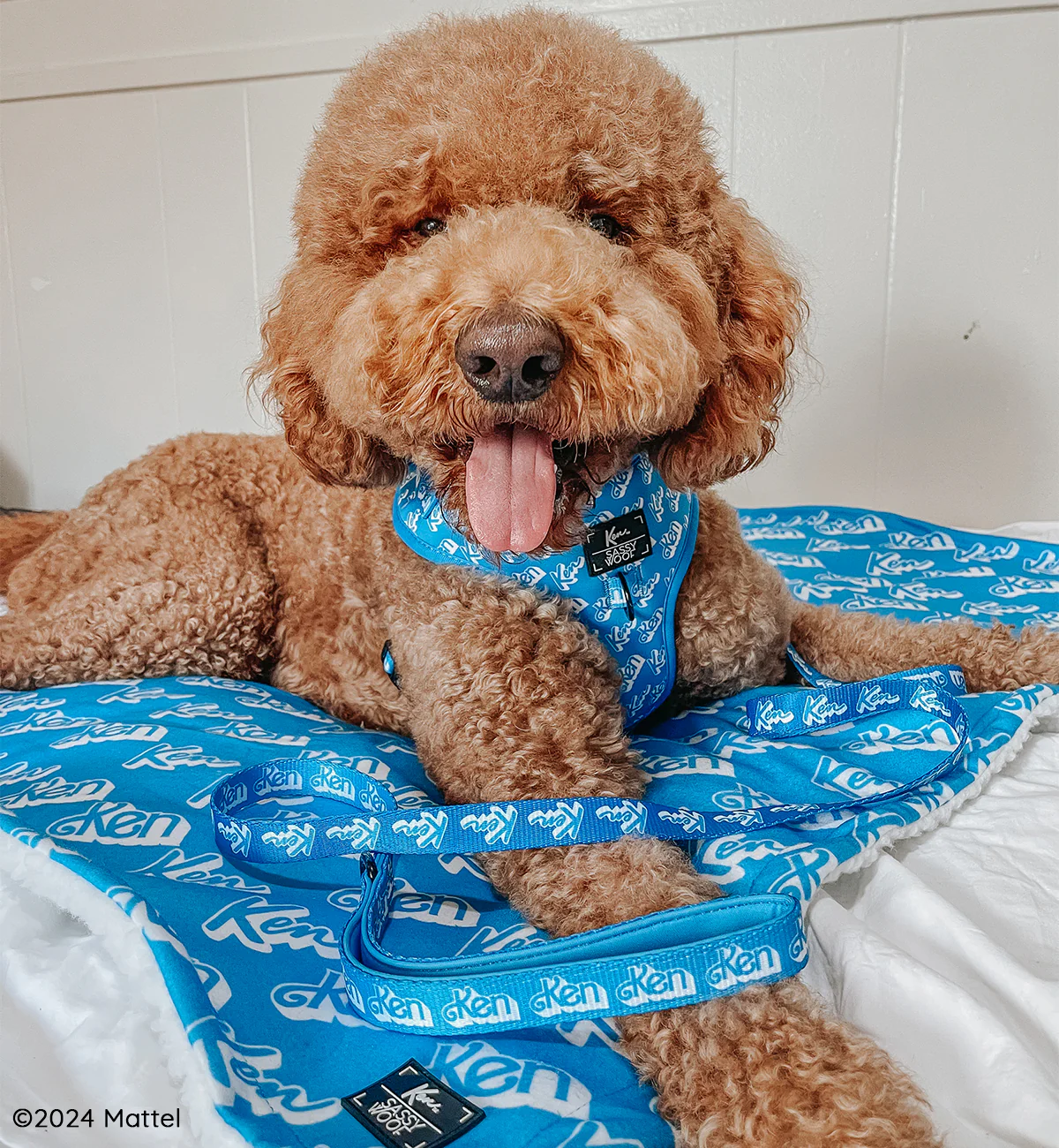 Pet Blanket - KEN™ - Image 3