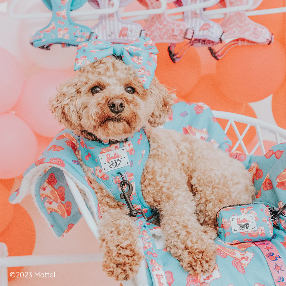Pet Blanket - BARBIE™ On a Roll - Image 4
